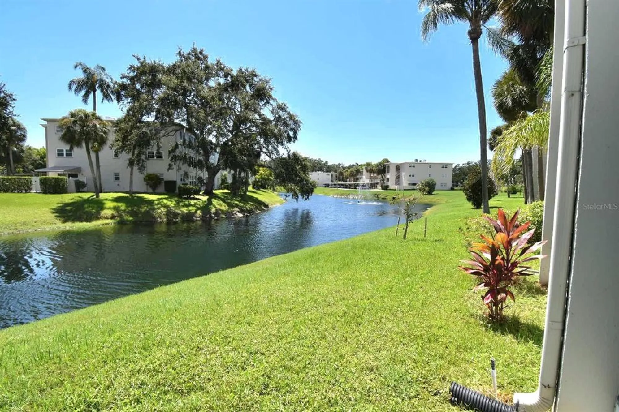 Property Slideshow image 22 of 30 | 946 virginia st apt 102, Dunedin, FL, 34698
