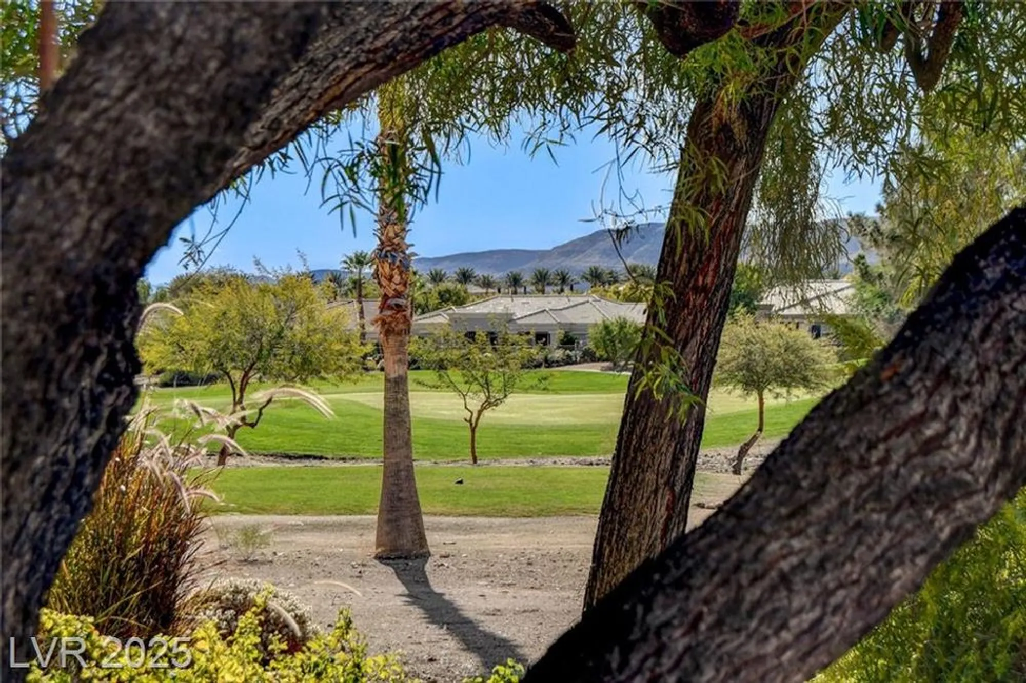 Property Slideshow image 13 of 60 | 10503 angelo tenero ave, Las Vegas, NV, 89135