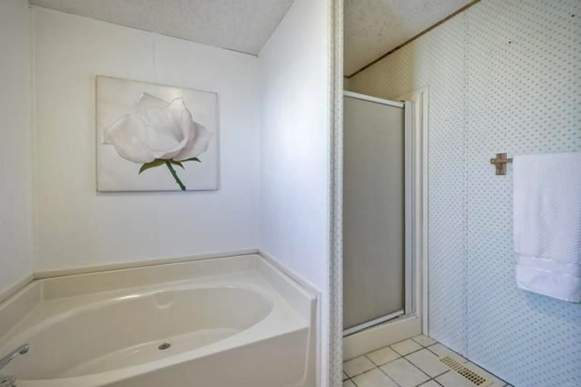 Property Slideshow image 24 of 42 | 1146 via santa paulo, Vista, CA, 92081