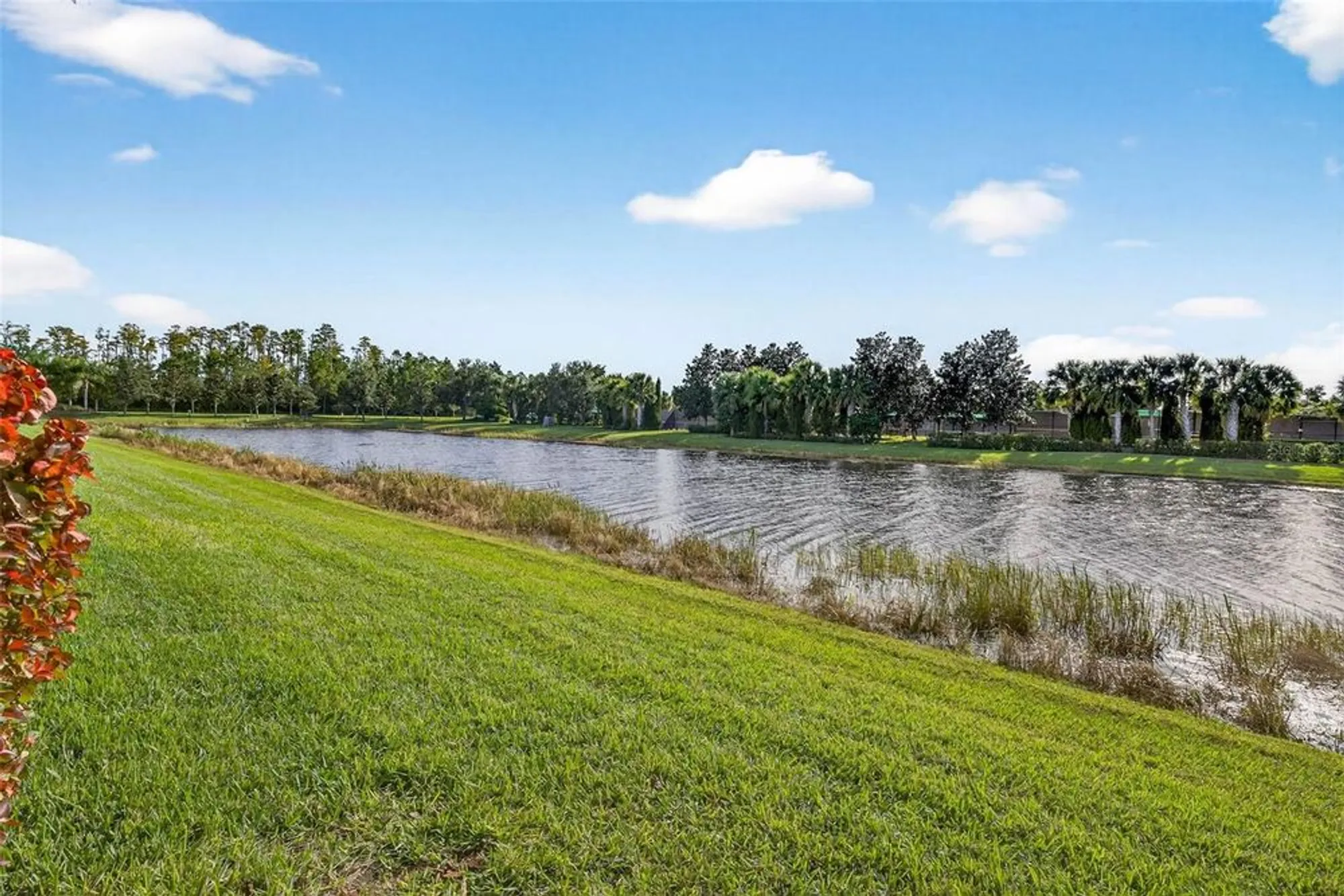 Property Slideshow image 55 of 82 | 5016 stone harbor cir, Wimauma, FL, 33598