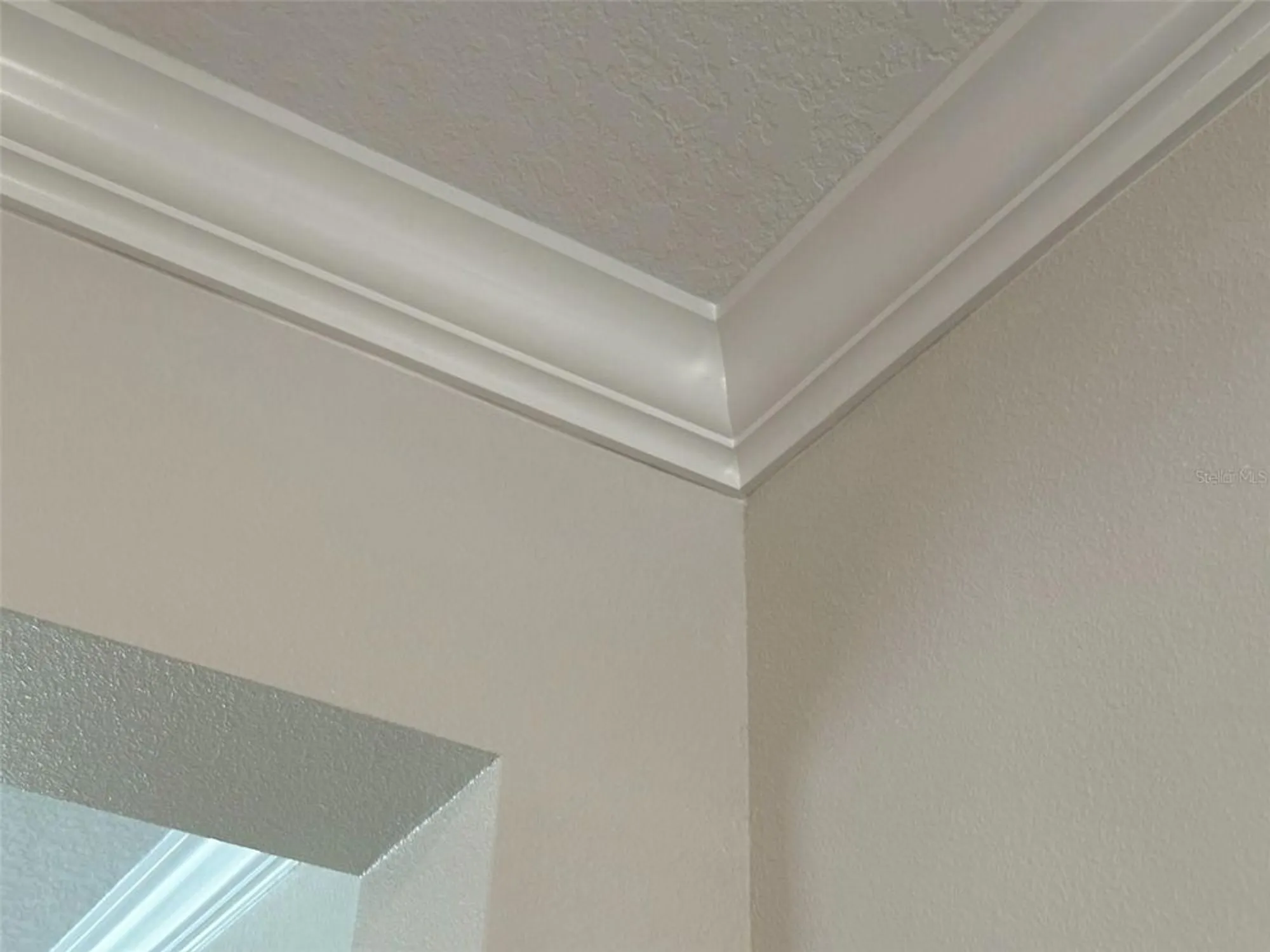 Property Slideshow image 33 of 90 | 17216 mango shay ct, Land O Lakes, FL, 34638