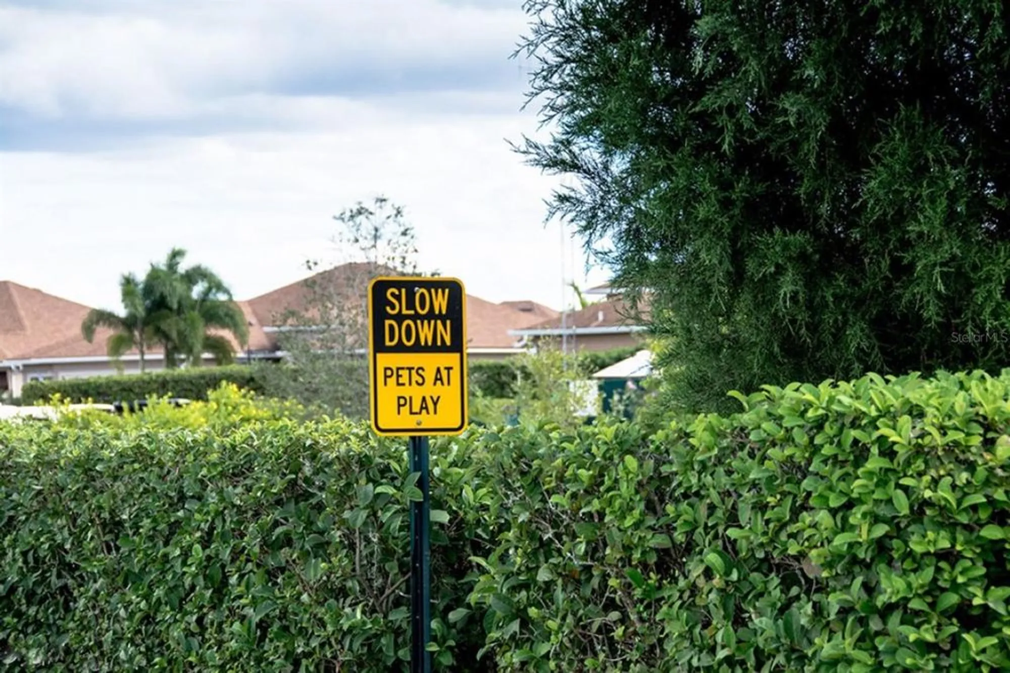 Property Slideshow image 99 of 100 | 4327 gullane dr, Lake Wales, FL, 33859