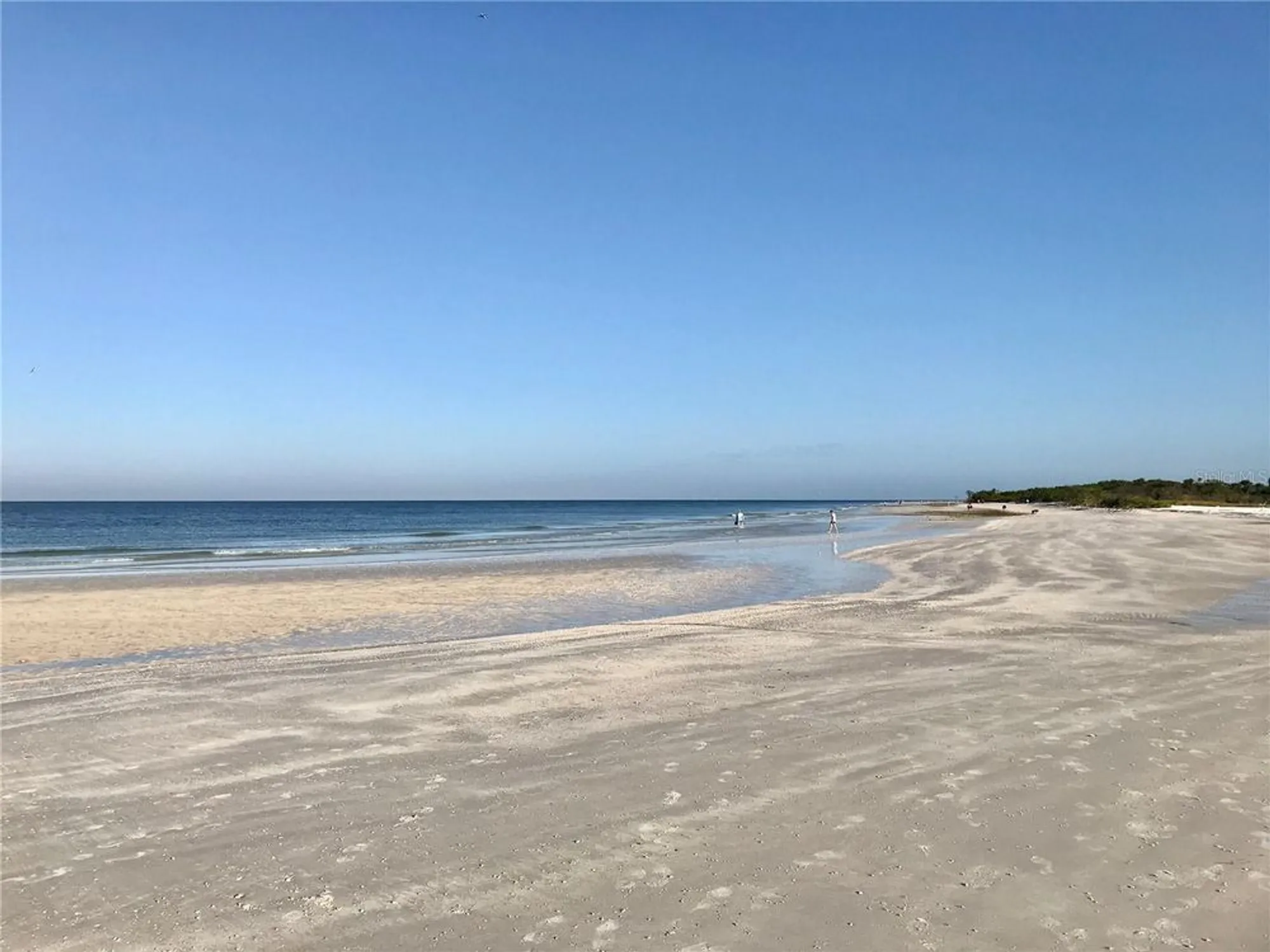 Property Slideshow image 36 of 38 | 2254 norwegian dr 46, Clearwater, FL, 33763