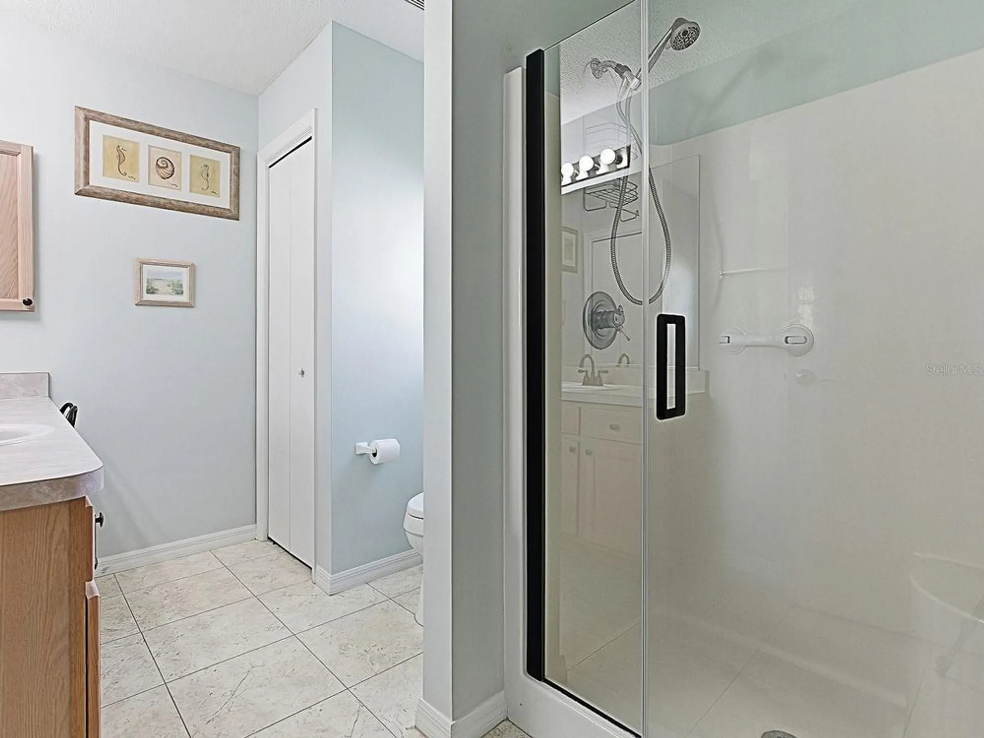 Property Slideshow image 19 of 38 | 16899 se 96th chapelwood cir, The Villages, FL, 32162
