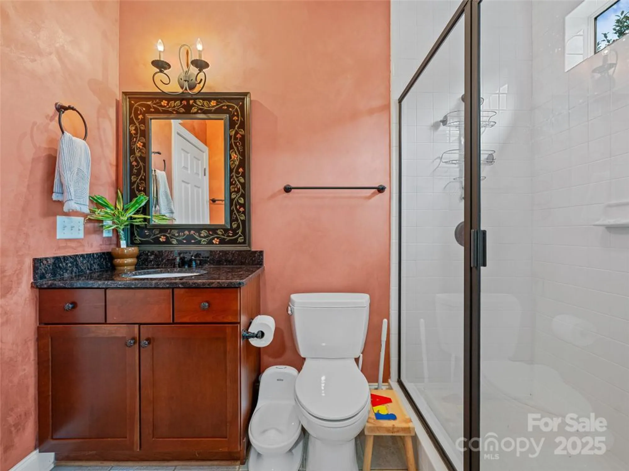 Property Slideshow image 11 of 36 | 257 fennel dun cir, Biltmore Lake, NC, 28715