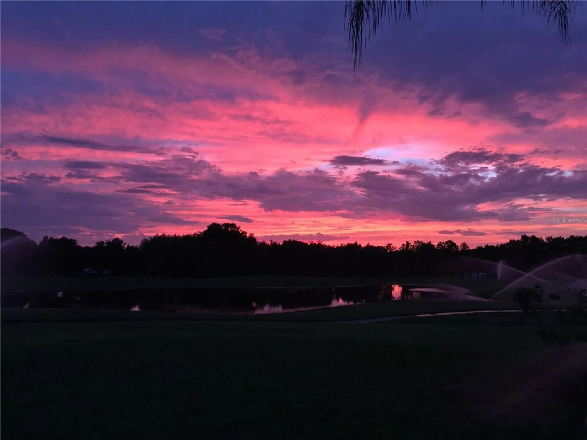 Property Slideshow image 74 of 75 | 13301 thoroughbred dr, Dade City, FL, 33525
