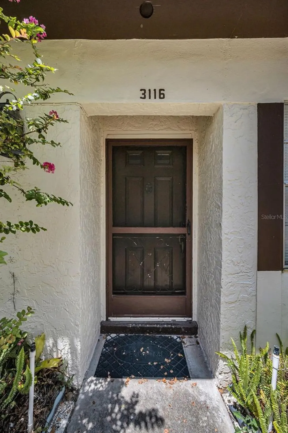 Property Slideshow image 3 of 56 | 3116 highlands blvd # 3116, Palm Harbor, FL, 34684