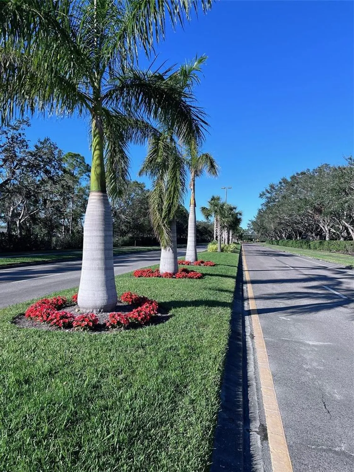 Property Slideshow image 31 of 71 | 6707 stone river rd apt 203, Bradenton, FL, 34203