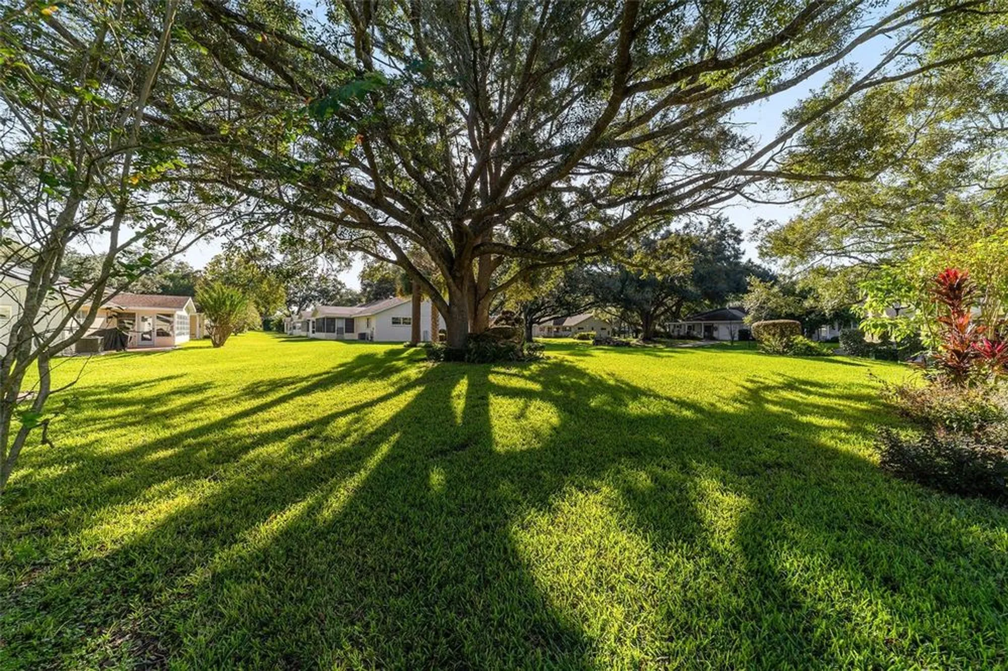 Property Slideshow image 60 of 62 | 8848 sw 96th ln b, Ocala, FL, 34481