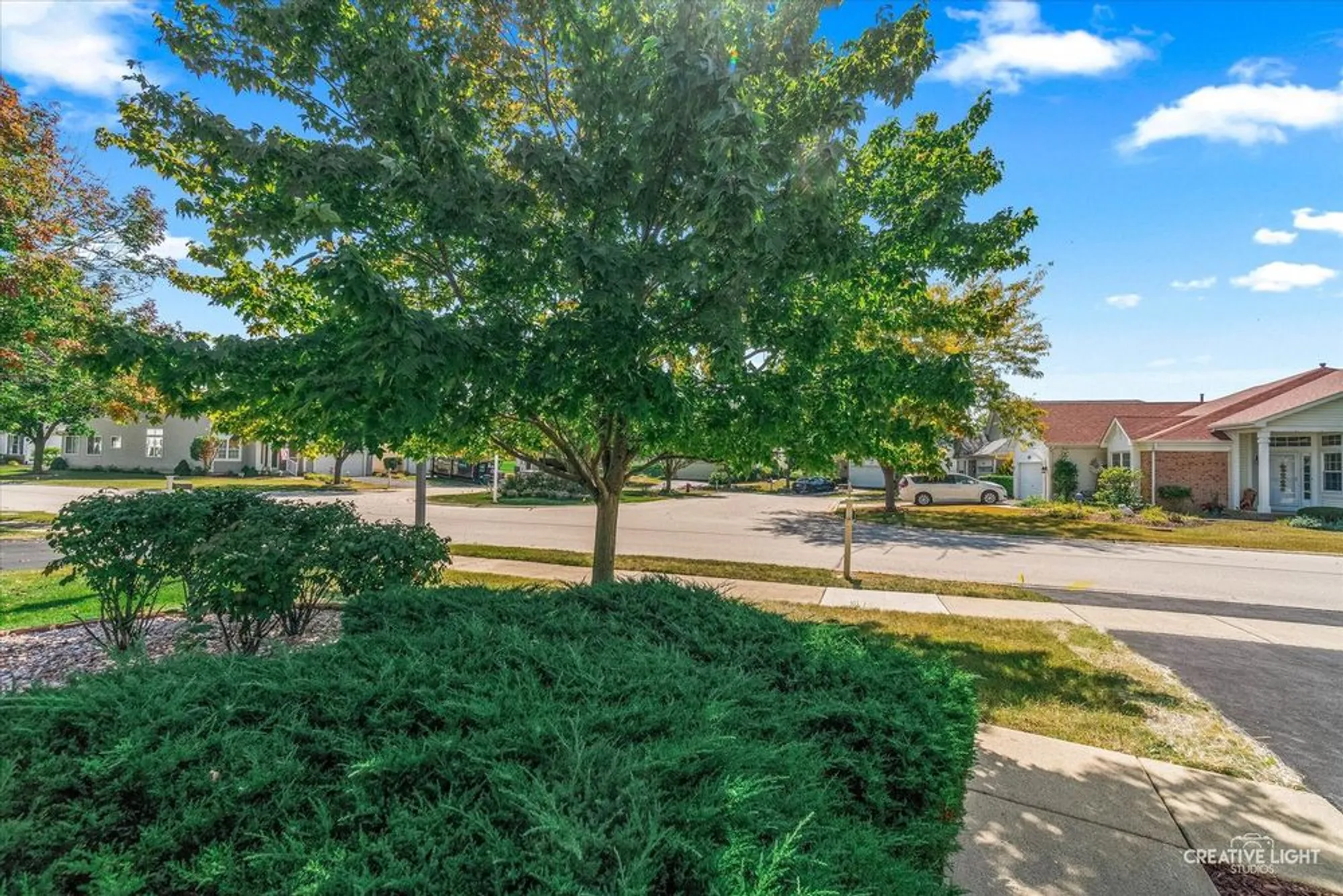 Property Slideshow image 1 of 54 | 13954 s tamarack dr, Plainfield, IL, 60544