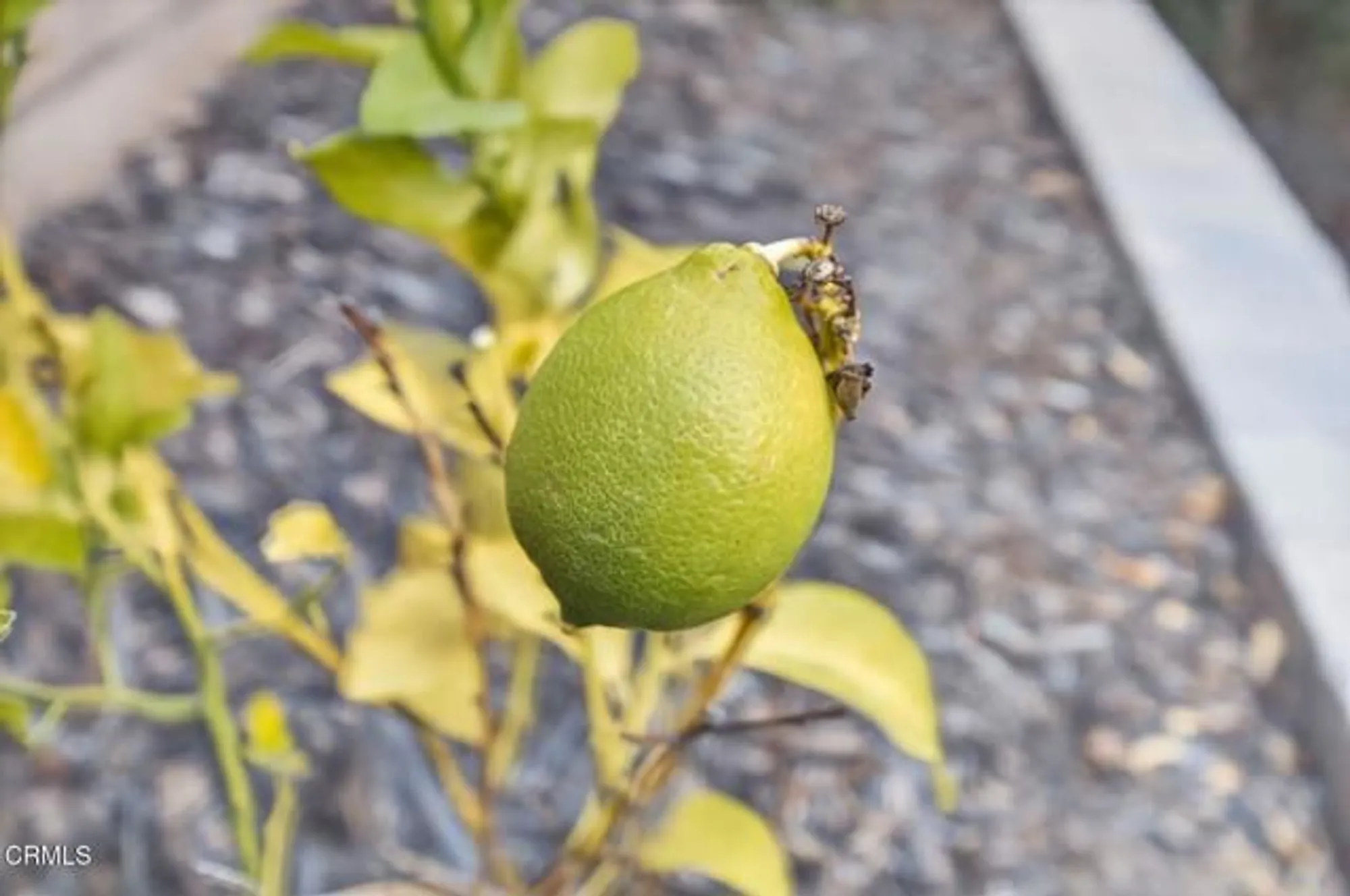 Property Slideshow image 61 of 78 | 2420 quartsite dr, Camarillo, CA, 93012