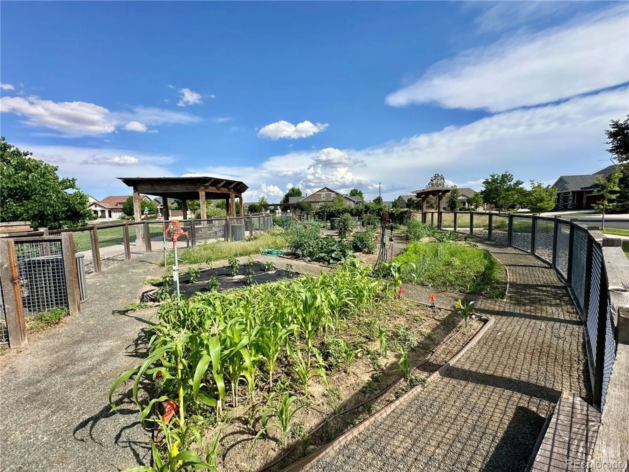 Property Slideshow image 50 of 50 | 5519 genoa st, Denver, CO, 80249