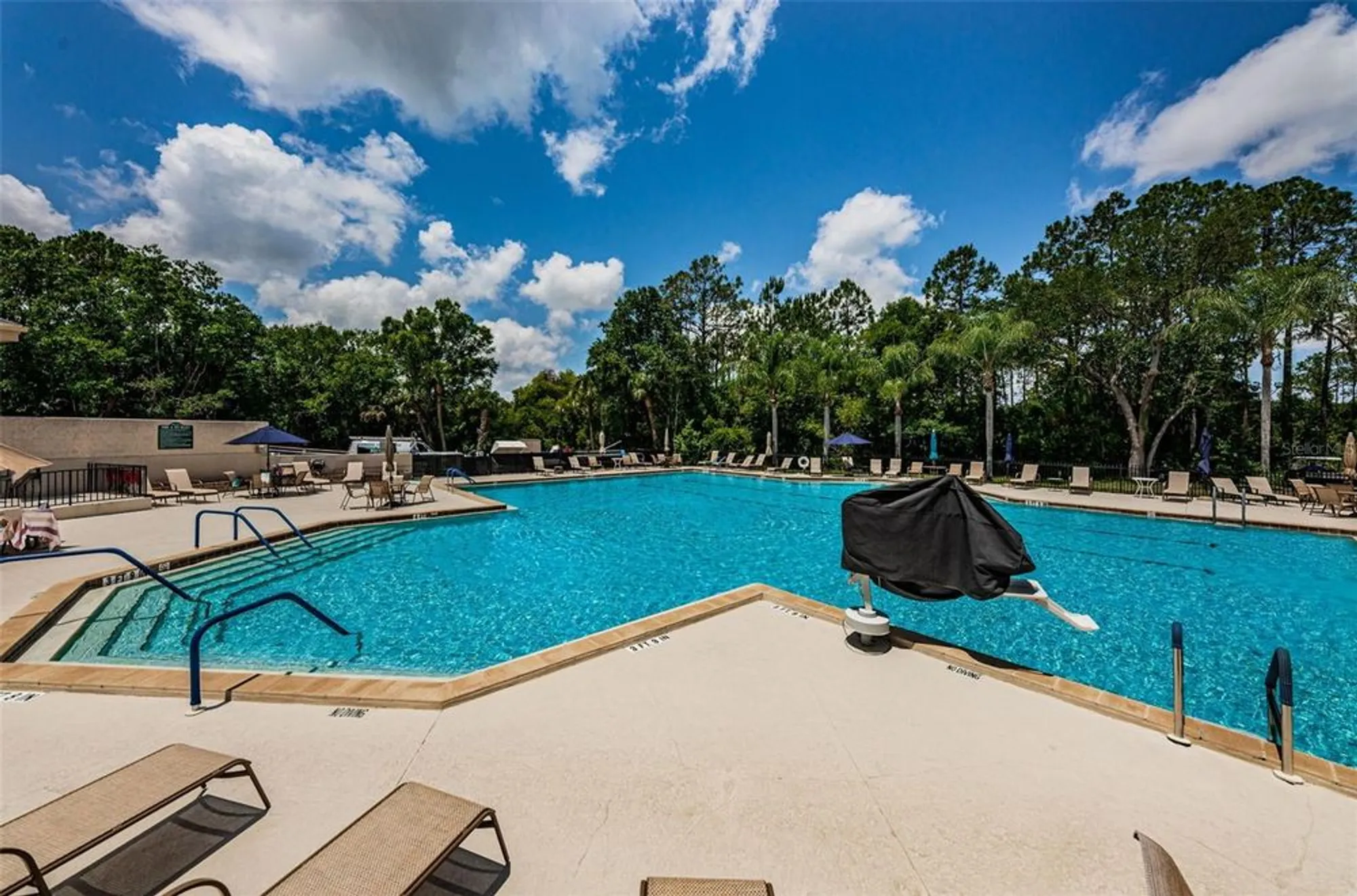 Property Slideshow image 69 of 81 | 9713 sweeping view dr, New Port Richey, FL, 34655