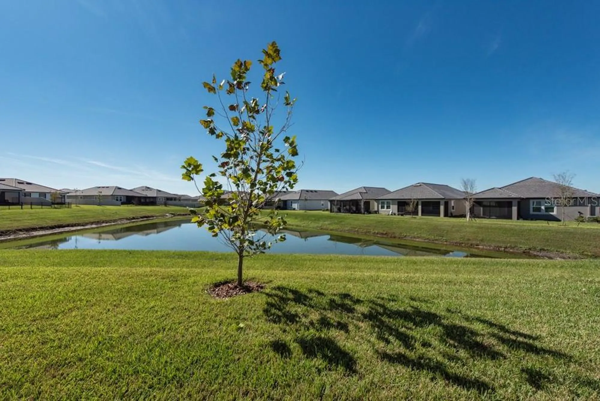 Property Slideshow image 23 of 40 | 10976 gable dig loop, San Antonio, FL, 33576