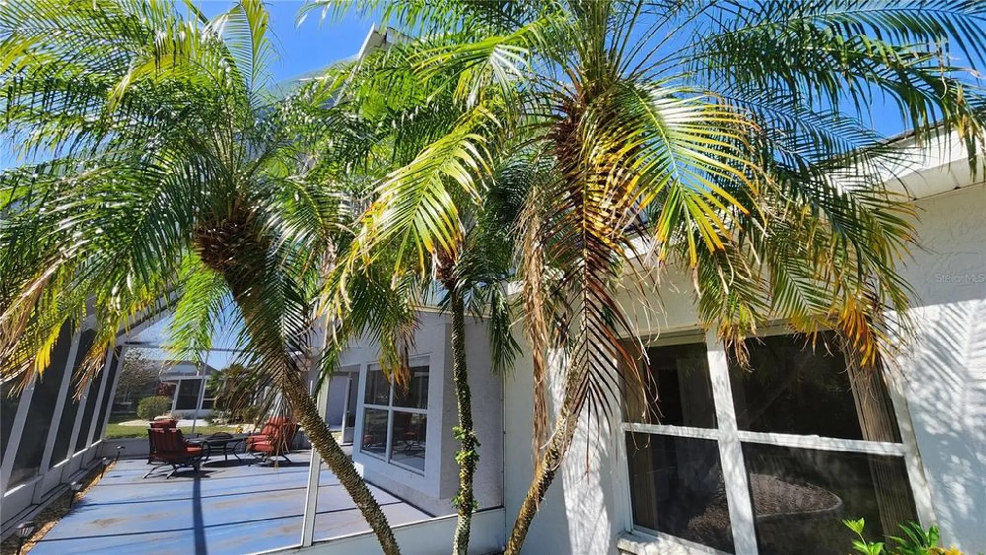 Property Slideshow image 51 of 60 | 2113 e del webb blvd, Sun City Center, FL, 33573