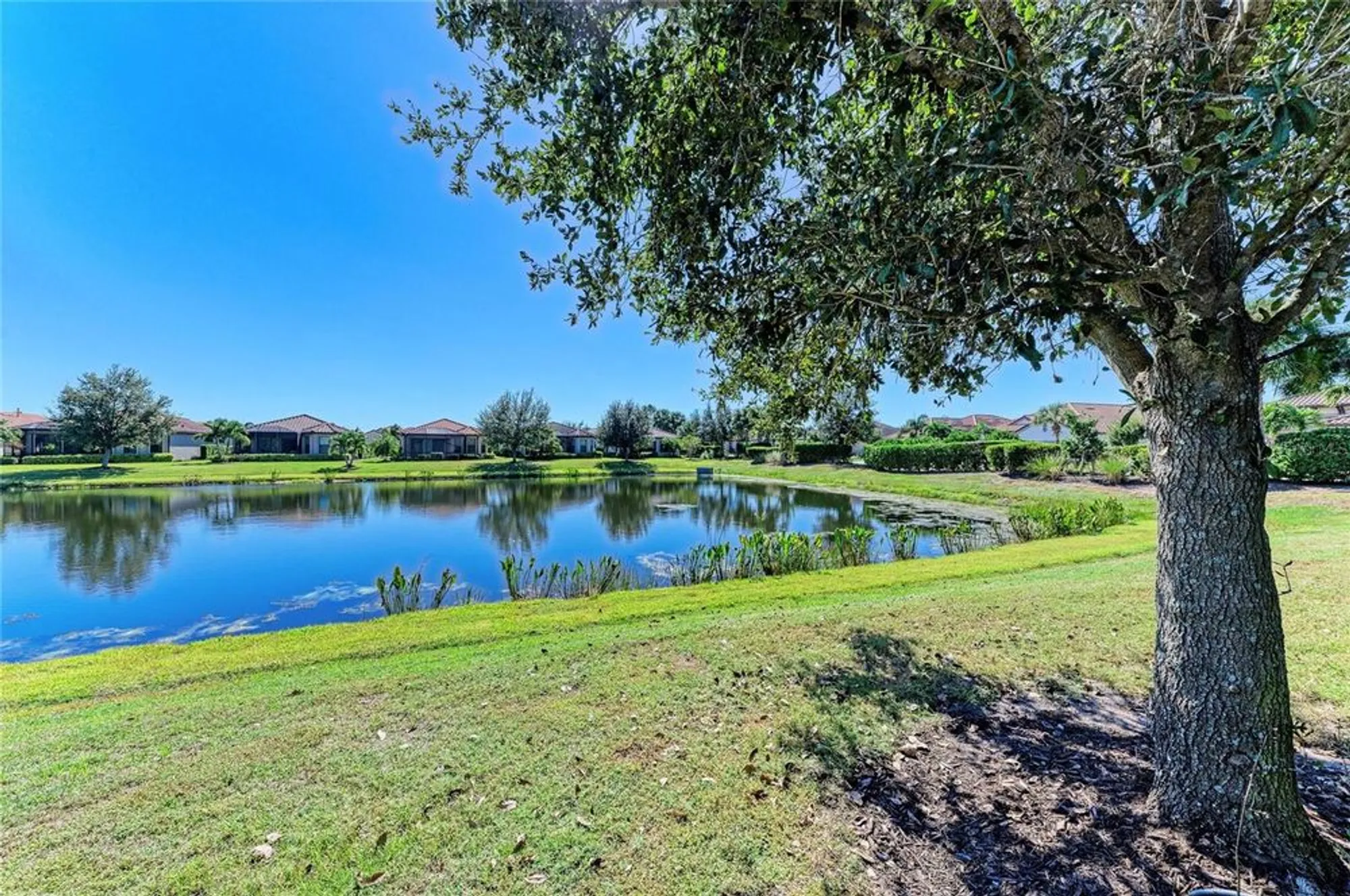 Property Slideshow image 48 of 100 | 13108 treviso dr, Bradenton, FL, 34211