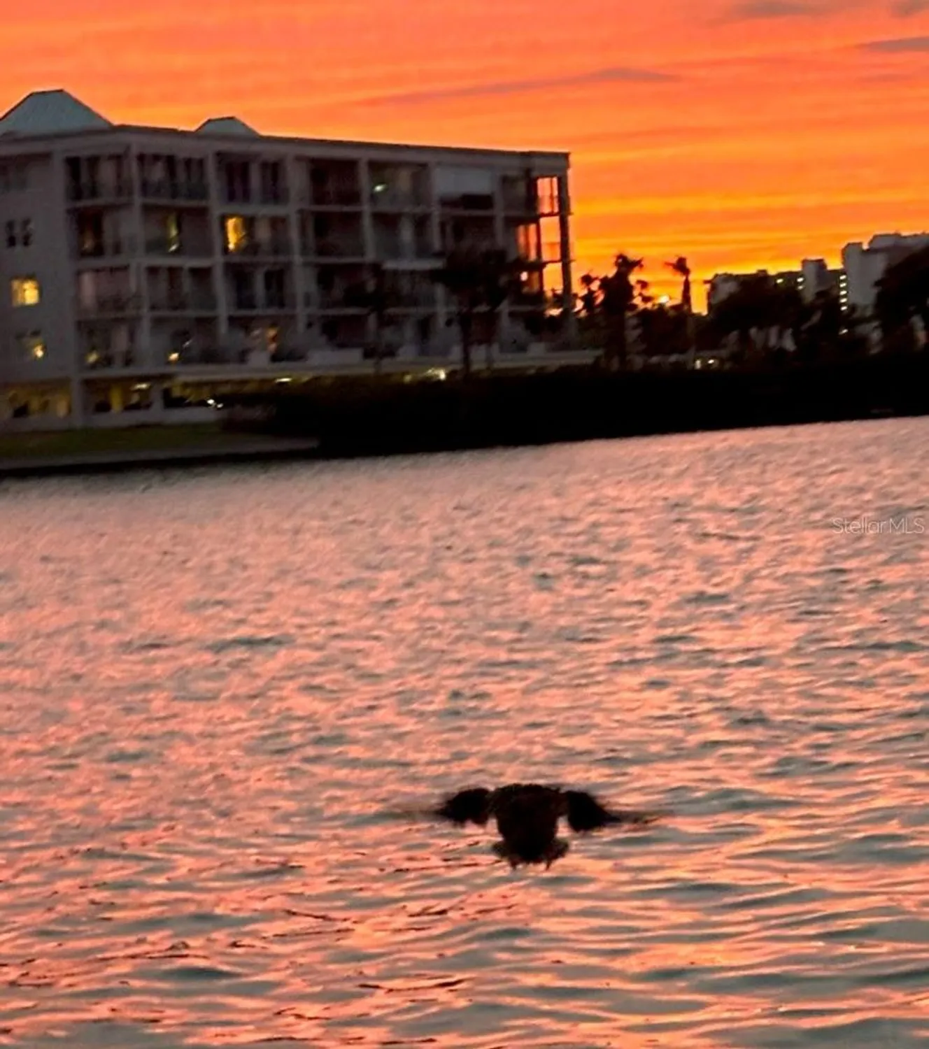 Property Slideshow image 62 of 92 | 7700 sun island dr 506, South Pasadena, FL, 33707