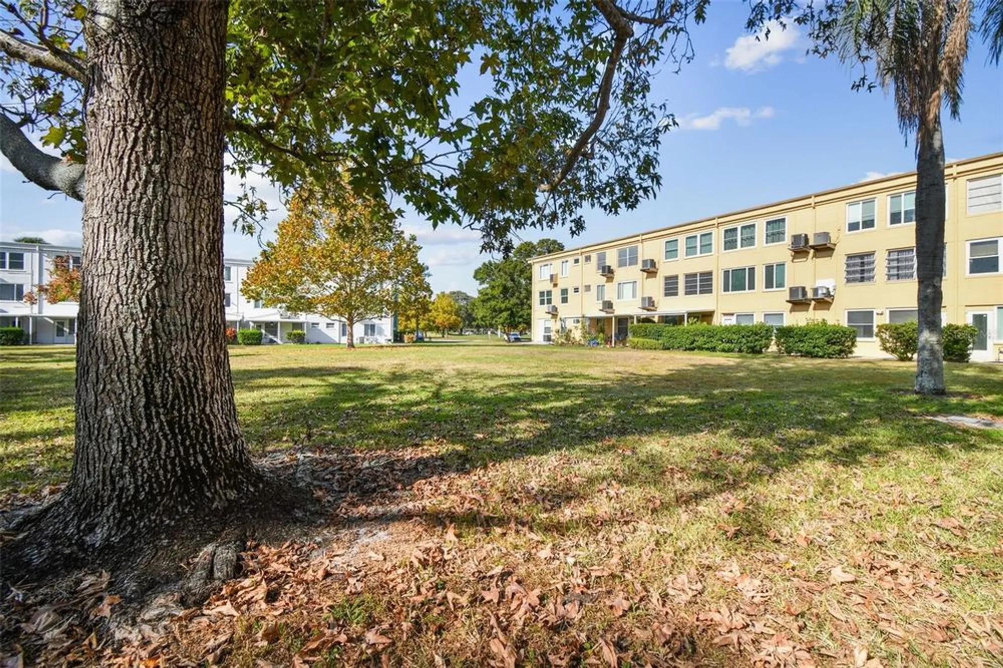 Property Slideshow image 35 of 73 | 2466 ecuadorian way apt 6, Clearwater, FL, 33763