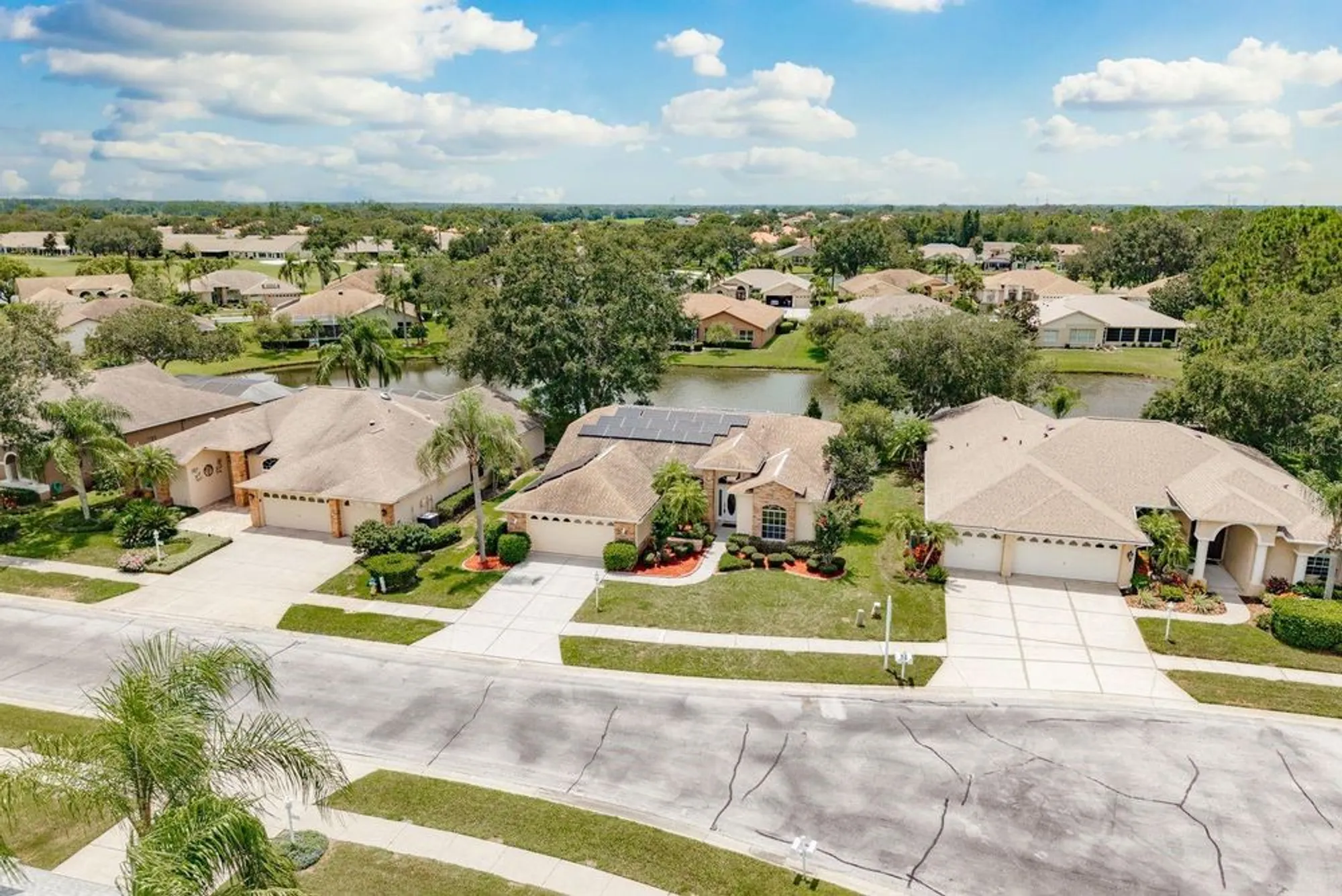 Property Slideshow image 49 of 49 | 1251 rambling vine ct, Trinity, FL, 34655