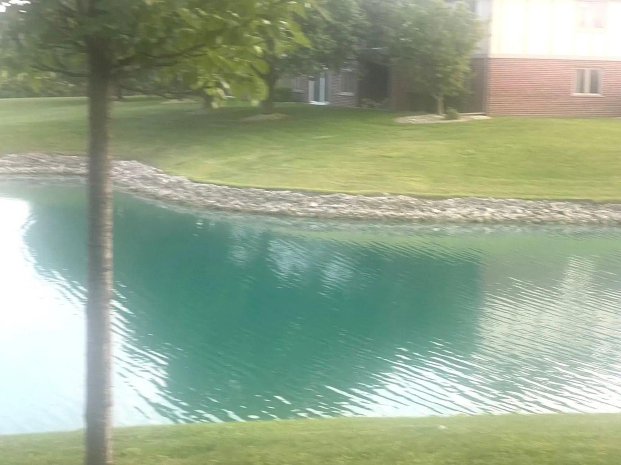 Property Slideshow image 21 of 33 | 6243 misty pines dr 1, Tinley Park, IL, 60477