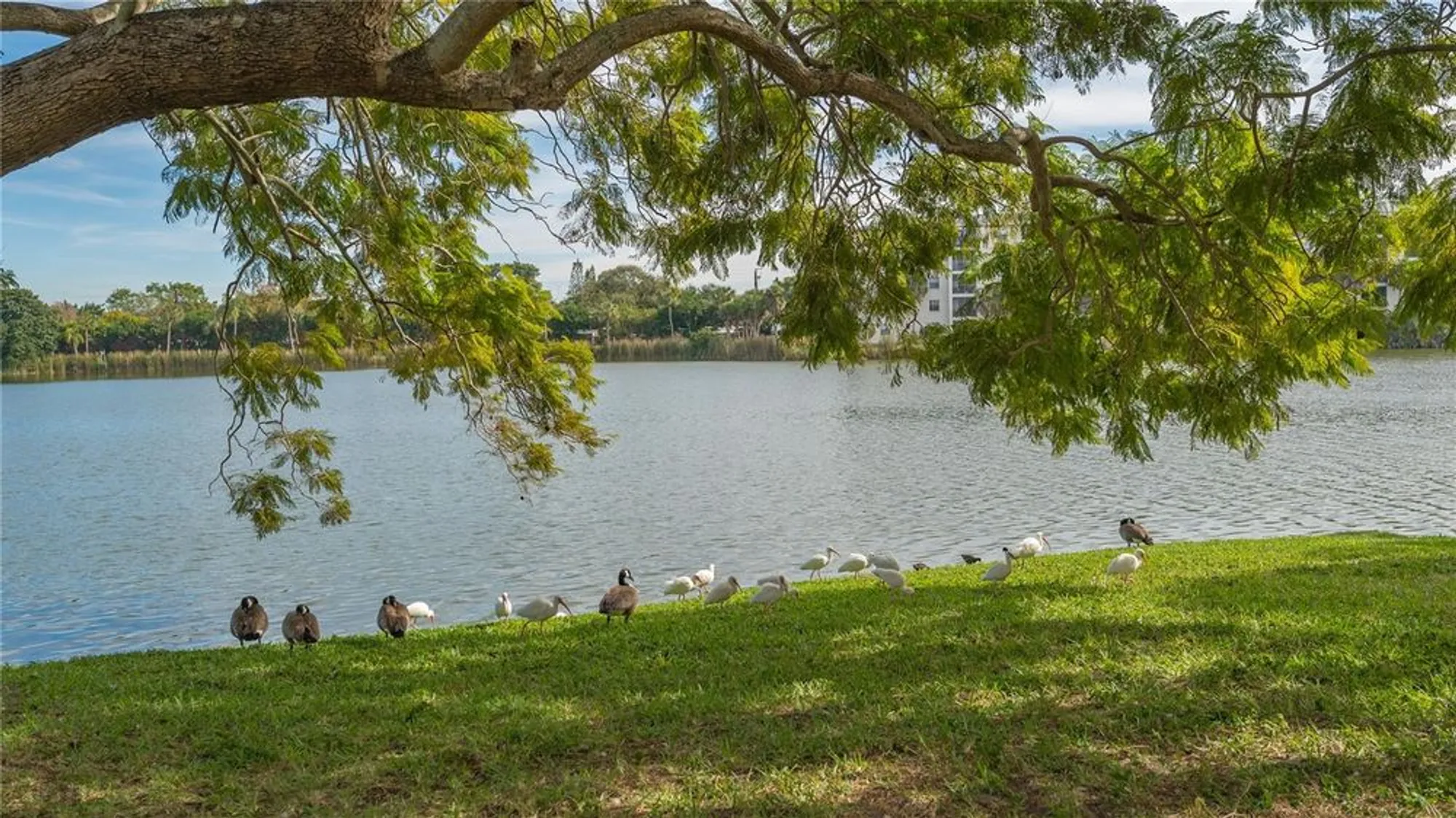 Property Slideshow image 61 of 64 | 4130 heron way # b-115, Bradenton, FL, 34205