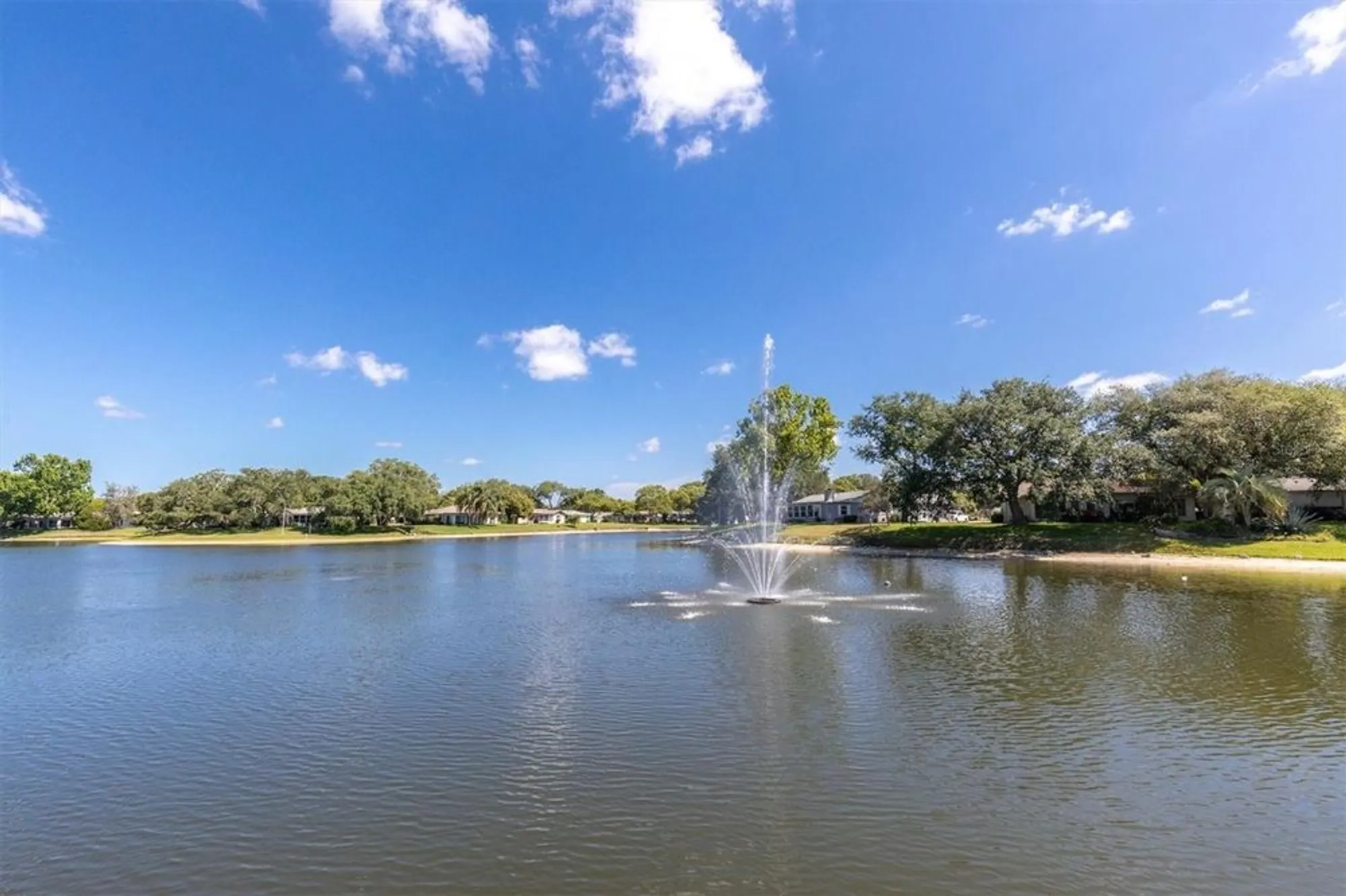 Property Slideshow image 38 of 38 | 11311 dollar lake dr apt 6, Port Richey, FL, 34668