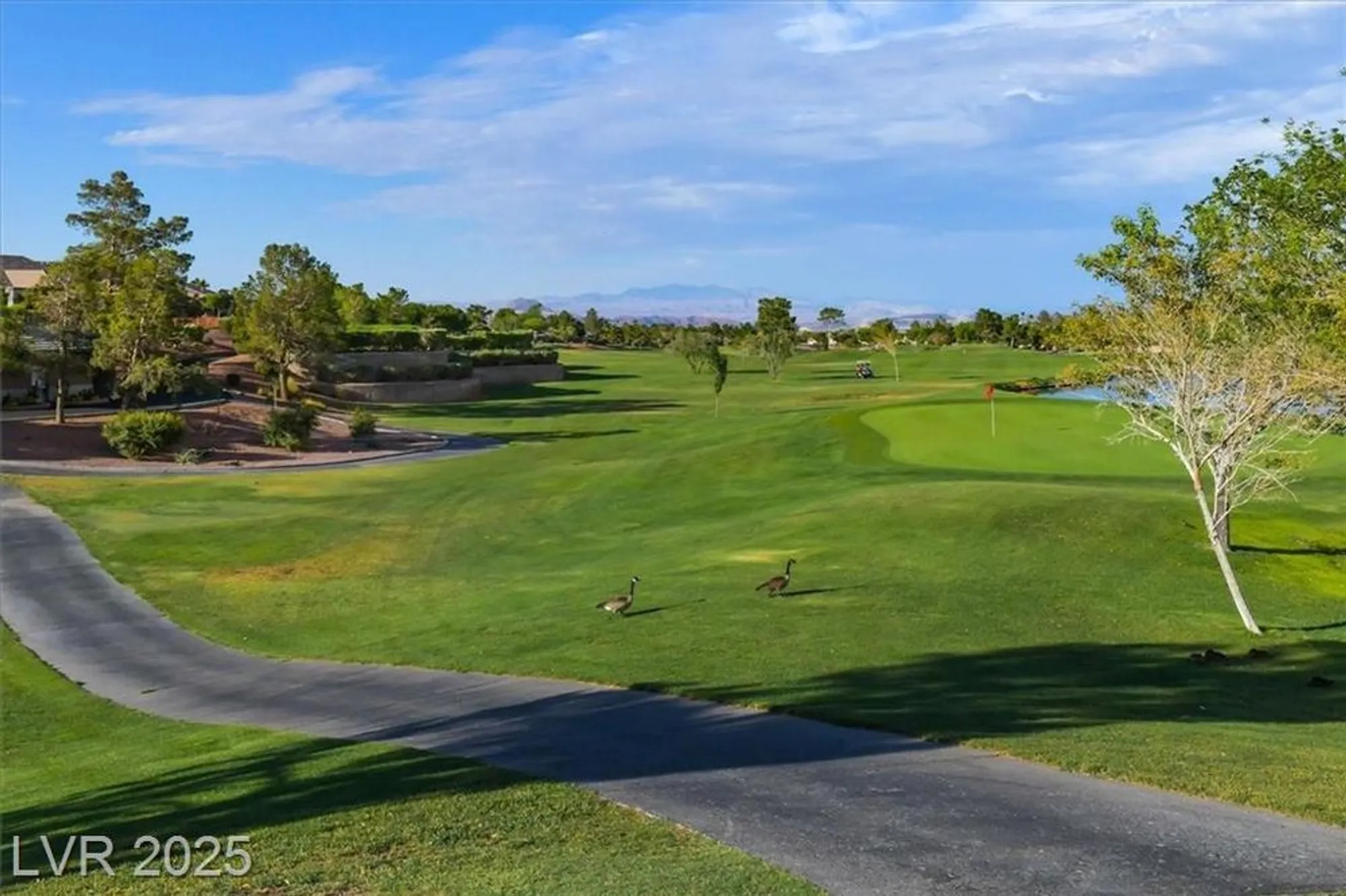 Property Slideshow image 52 of 53 | 580 cypress gardens pl, Henderson, NV, 89012