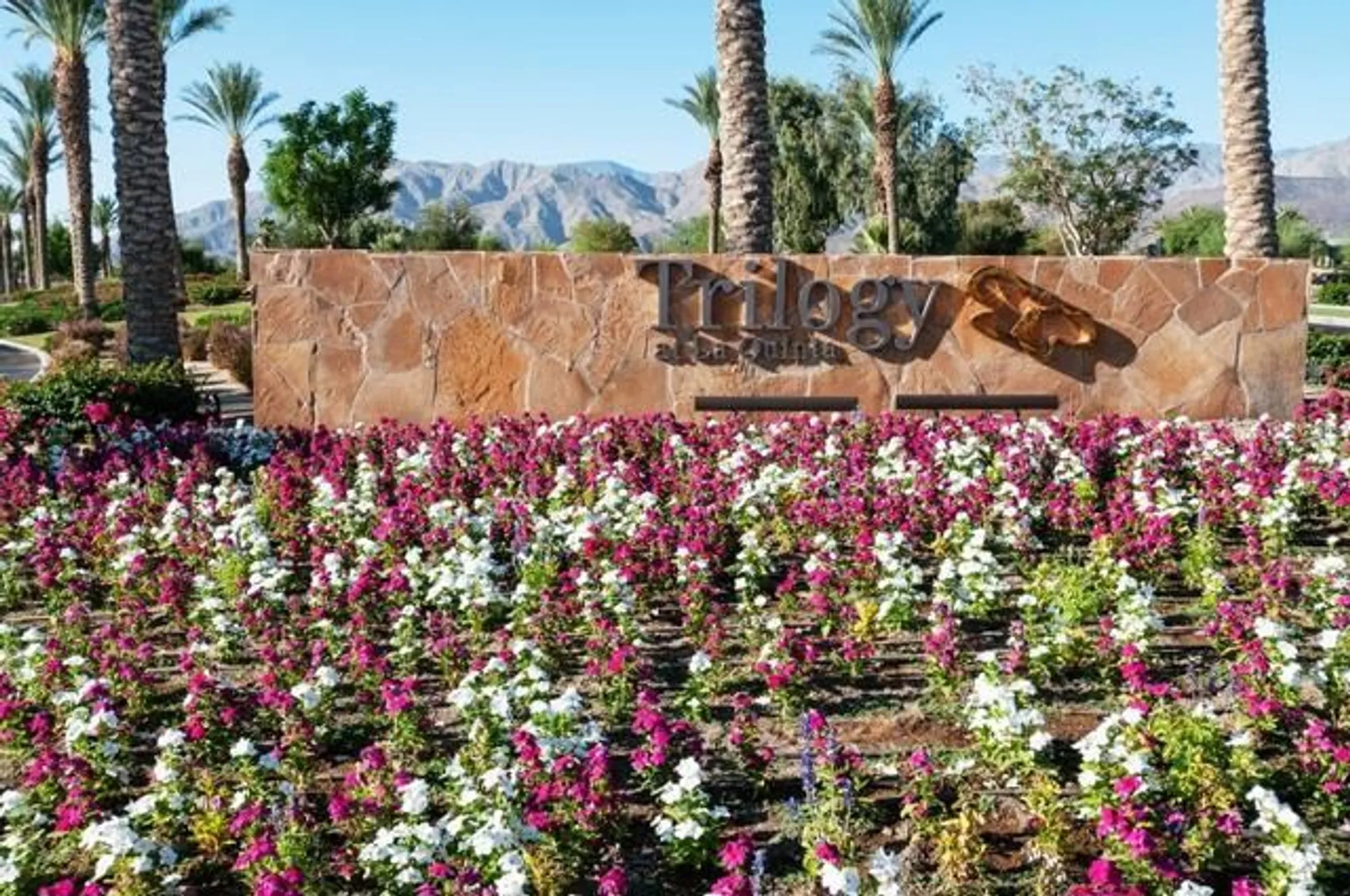 Property Slideshow image 52 of 91 | 61188 cactus spring dr, La Quinta, CA, 92253
