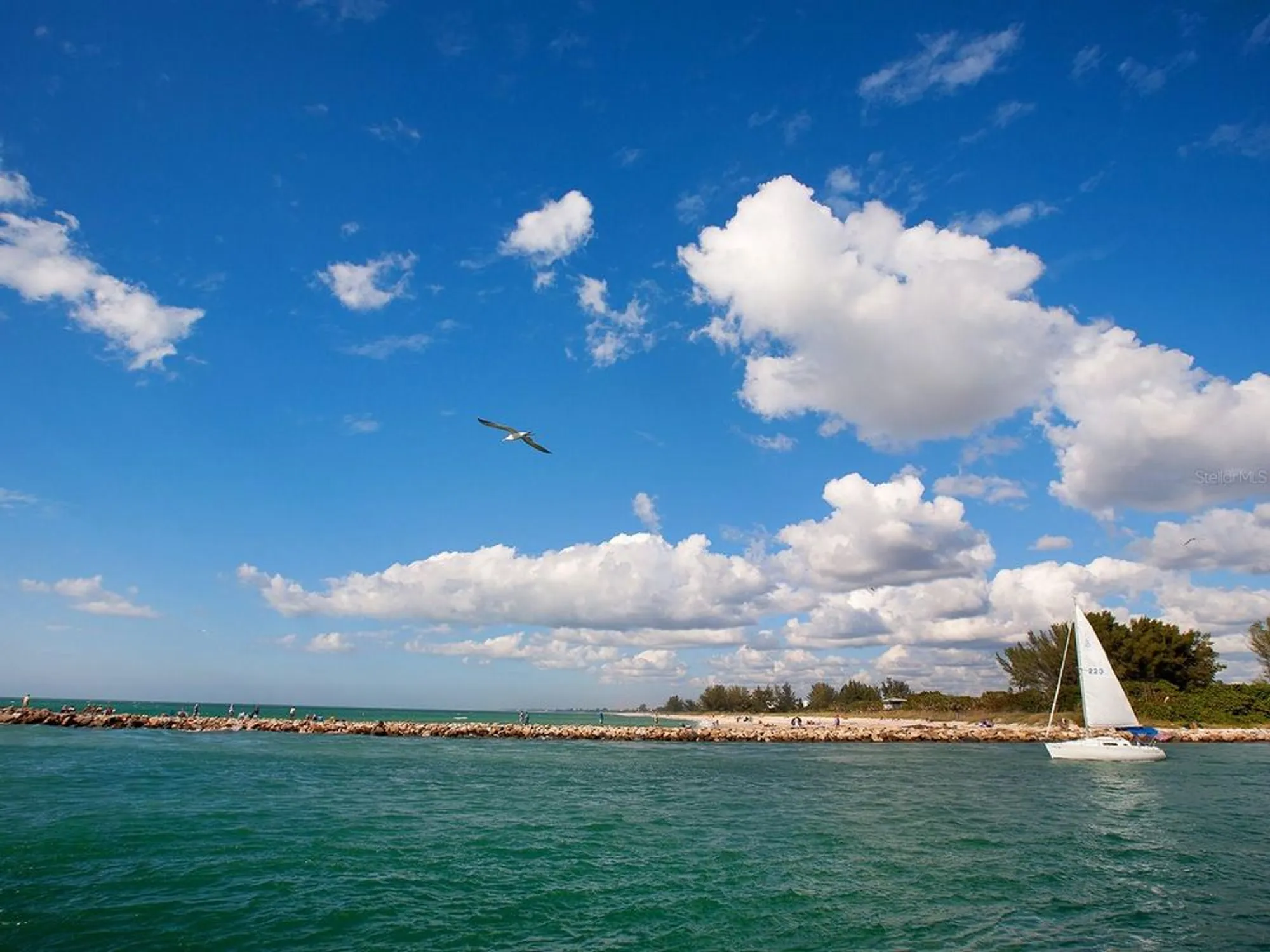 Property Slideshow image 41 of 41 | 114 southampton pl 237, Venice, FL, 34293