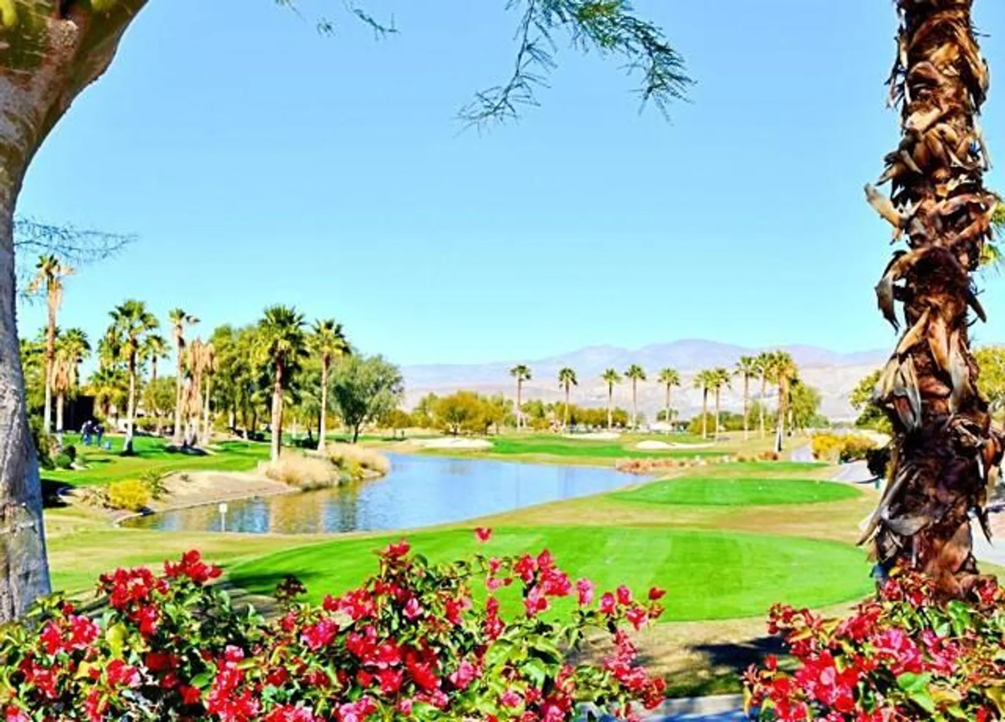 Property Slideshow image 104 of 113 | 80372 camino san lucas, Indio, CA, 92203