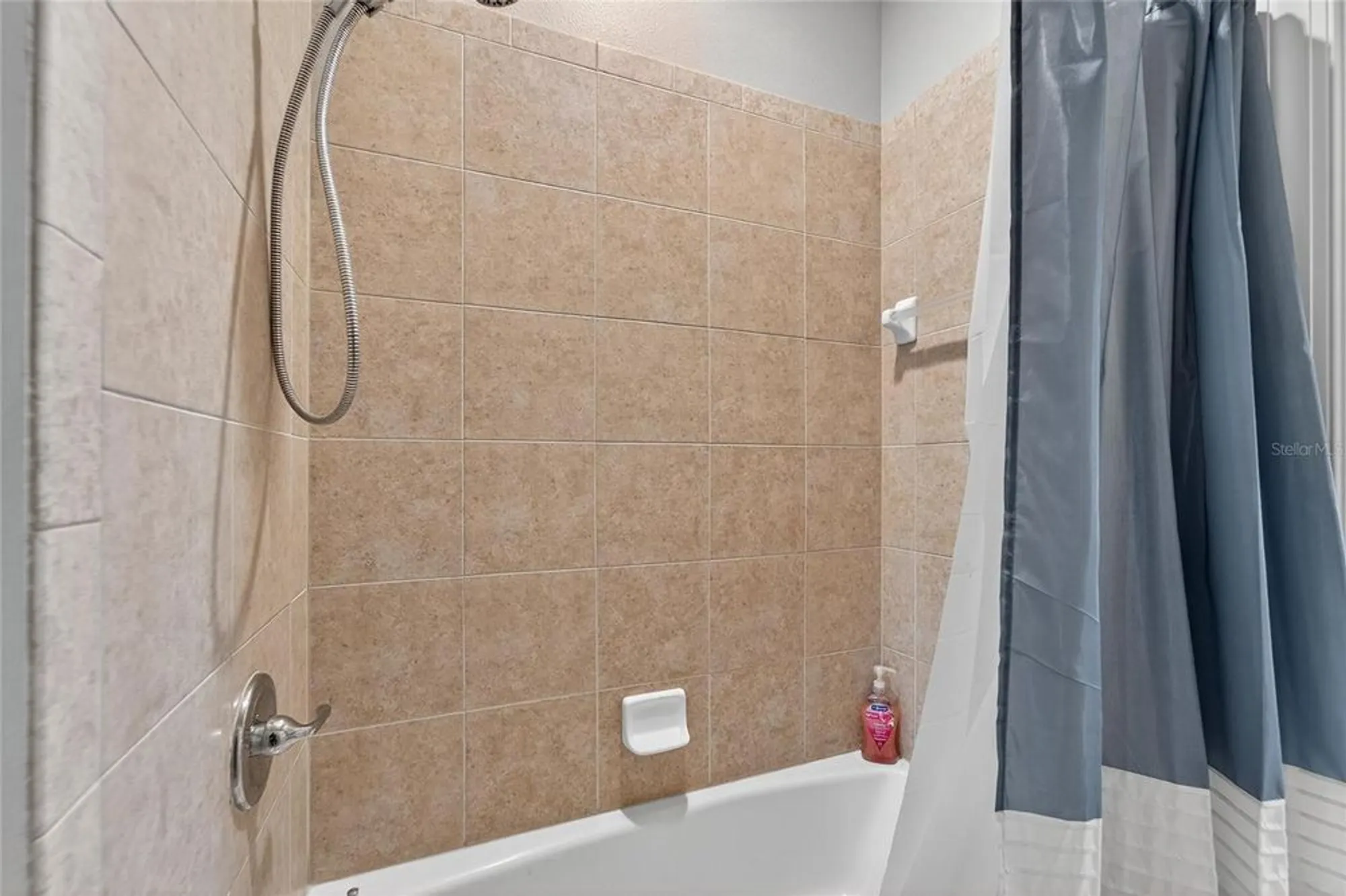 Property Slideshow image 62 of 90 | 114 aberdeen pond dr, Apollo Beach, FL, 33572