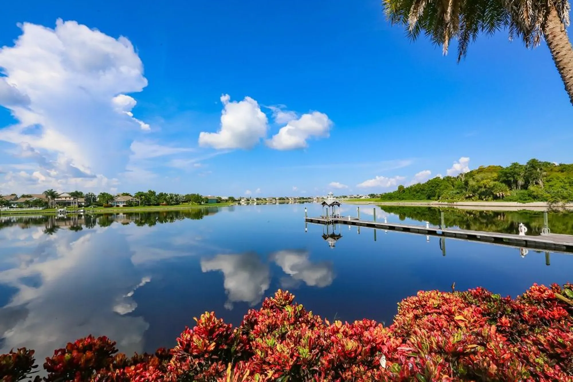 Property Slideshow image 57 of 57 | 203 oceania ct, Apollo Beach, FL, 33572