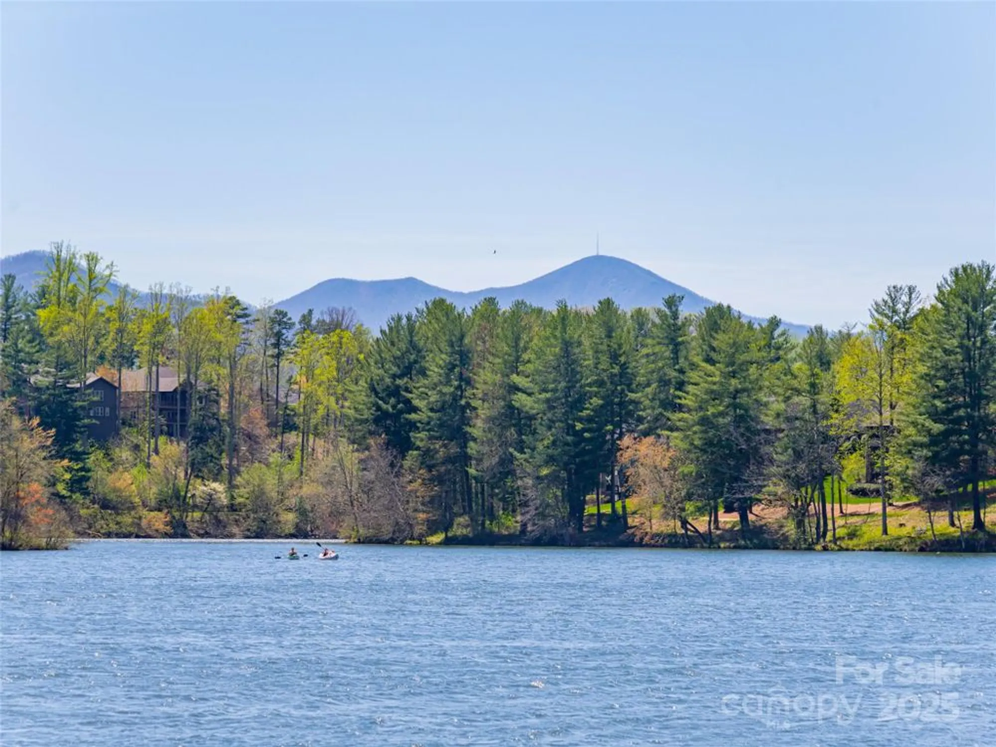 Property Slideshow image 38 of 42 | 11 larue ct, Biltmore Lake, NC, 28715