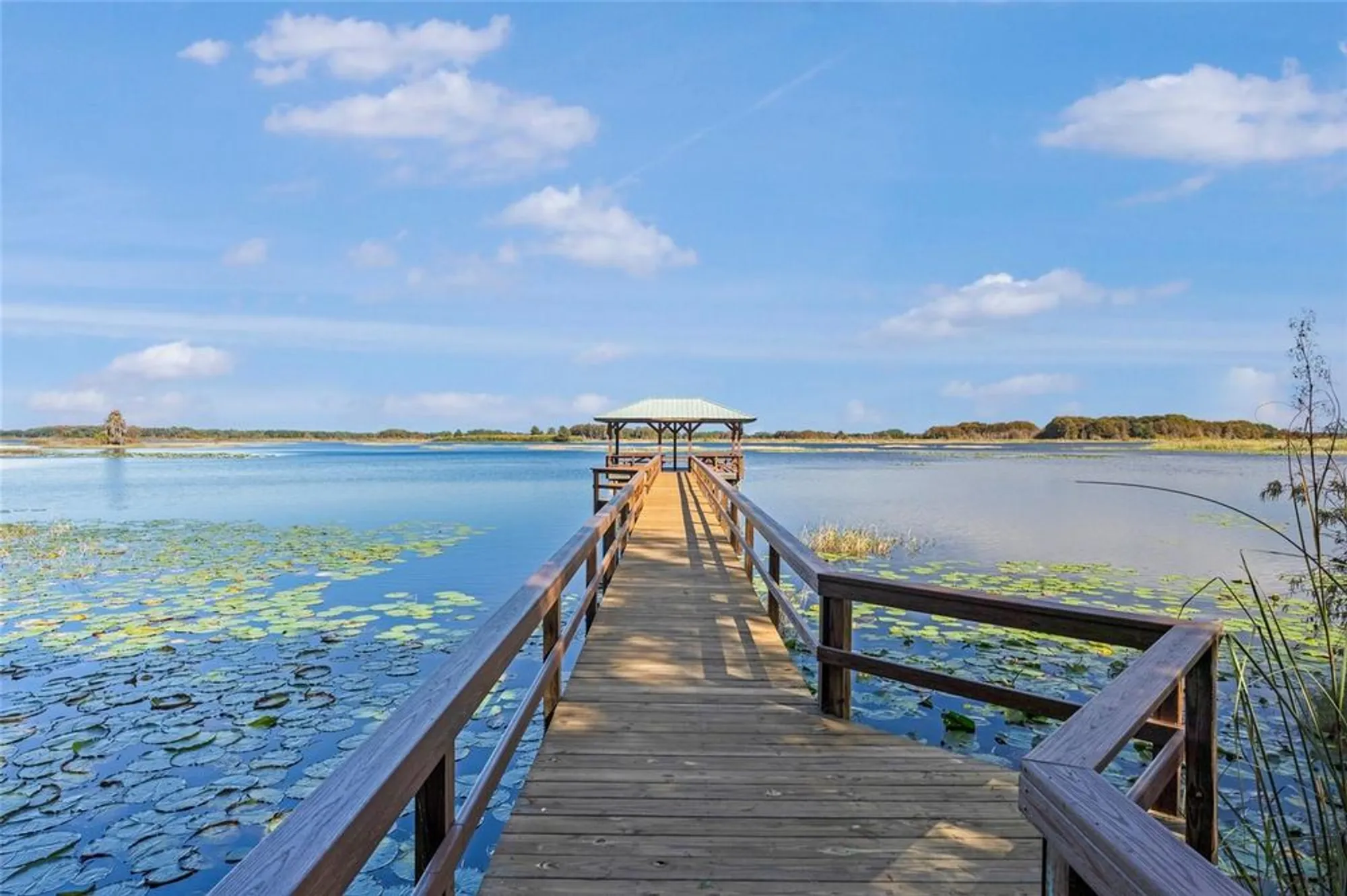 Property Slideshow image 52 of 54 | 3773 e lake todd dr, Hernando, FL, 34442