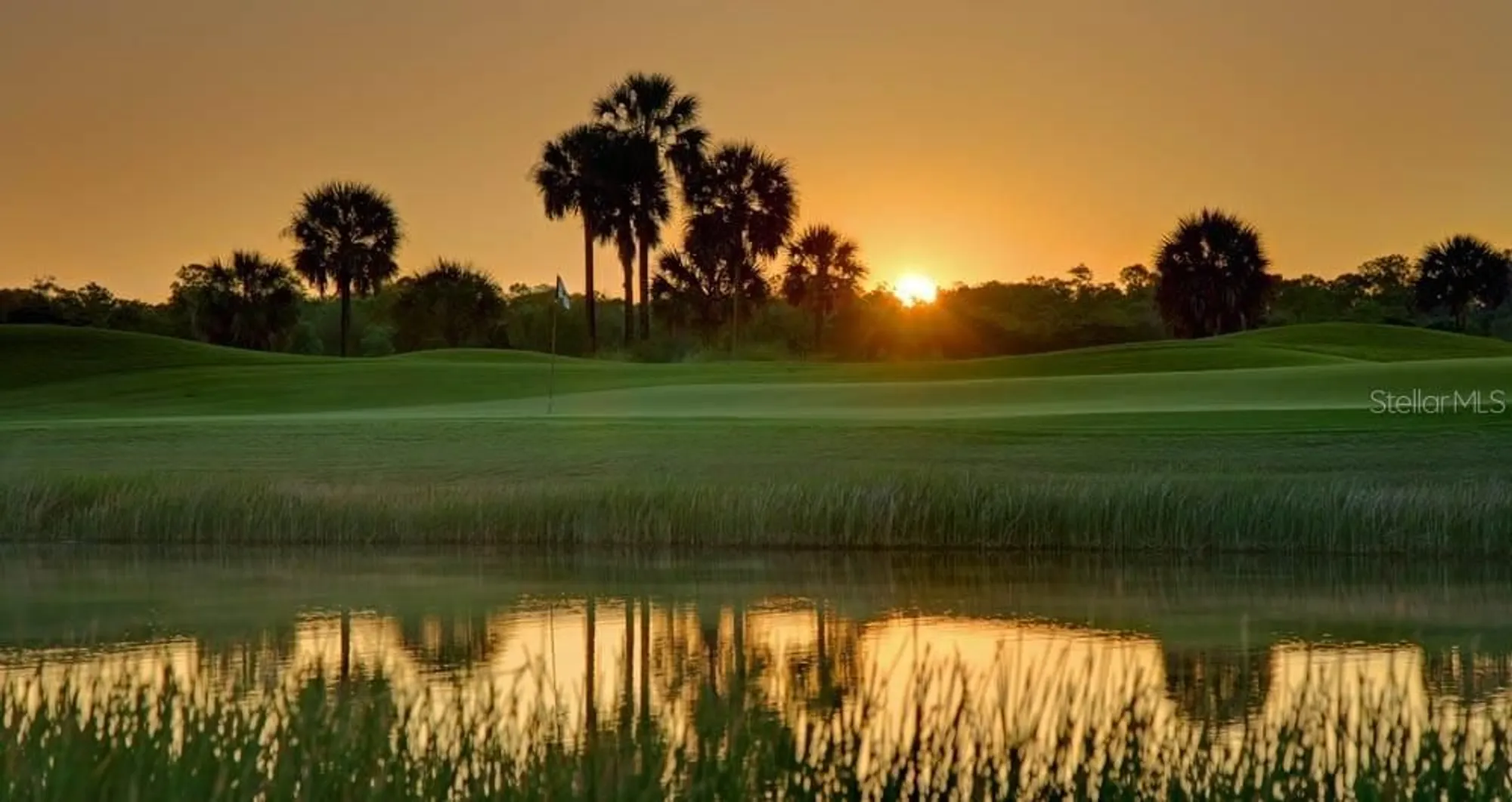 Property Slideshow image 55 of 66 | 821 chipper dr, Sun City Center, FL, 33573
