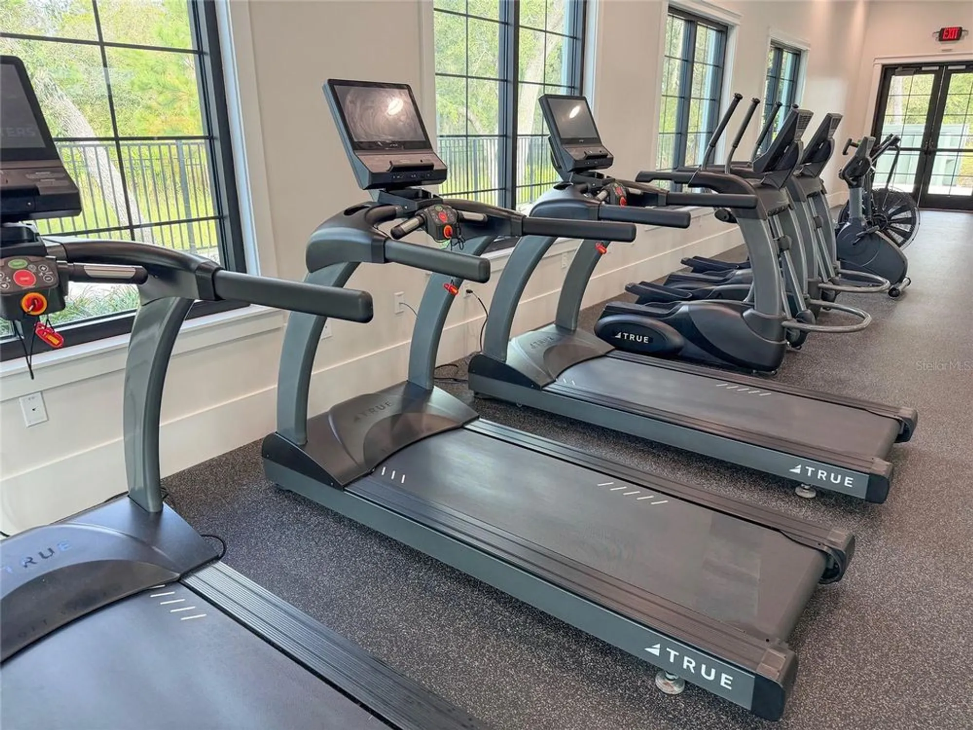 Property Slideshow image 70 of 90 | 17216 mango shay ct, Land O Lakes, FL, 34638