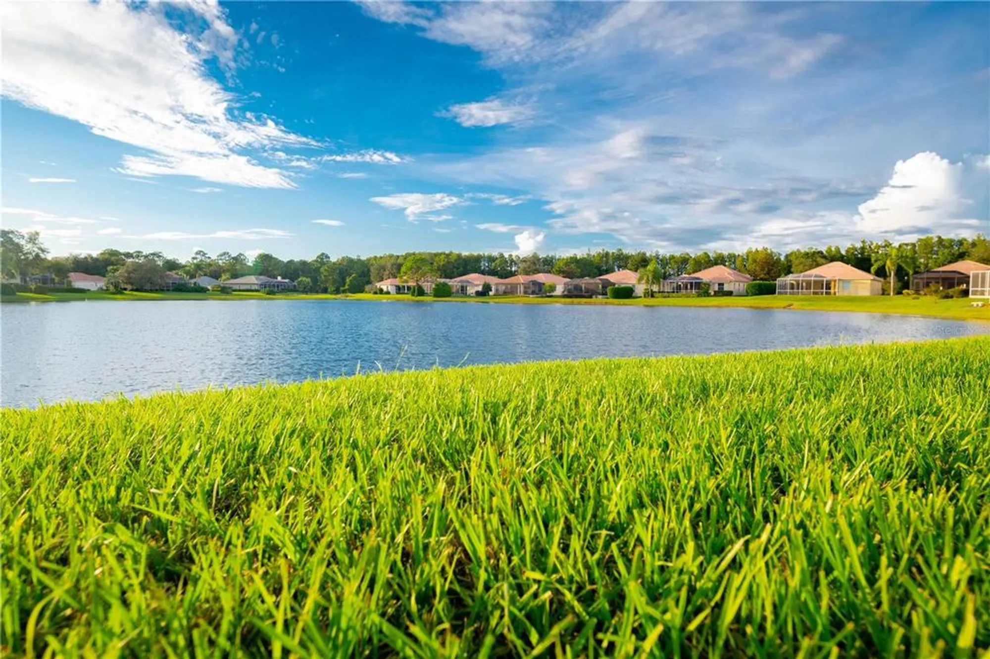 Property Slideshow image 52 of 75 | 9313 gentle ben ct, Weeki Wachee, FL, 34613