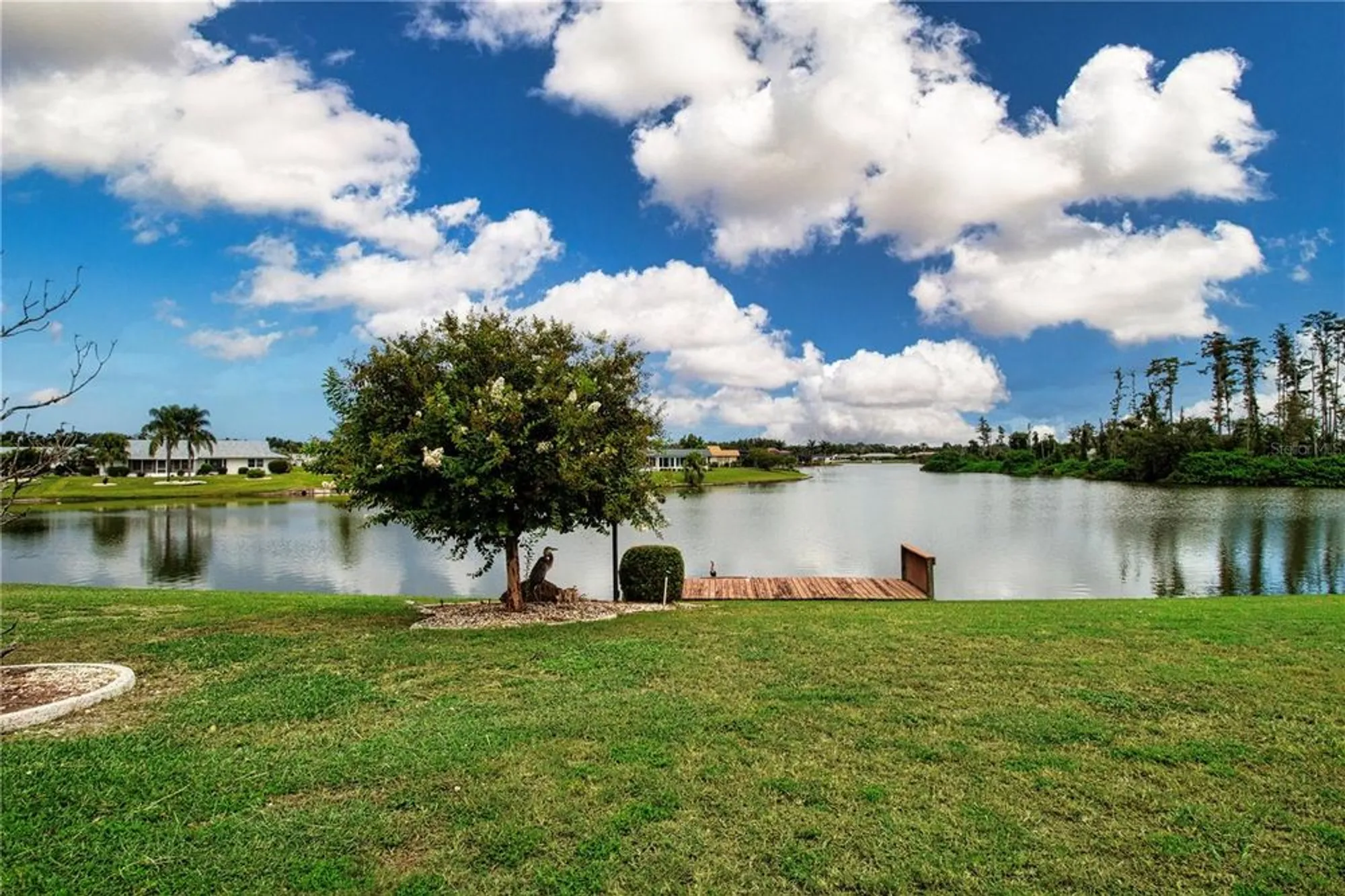 Property Slideshow image 34 of 56 | 1715 danbury dr, Sun City Center, FL, 33573