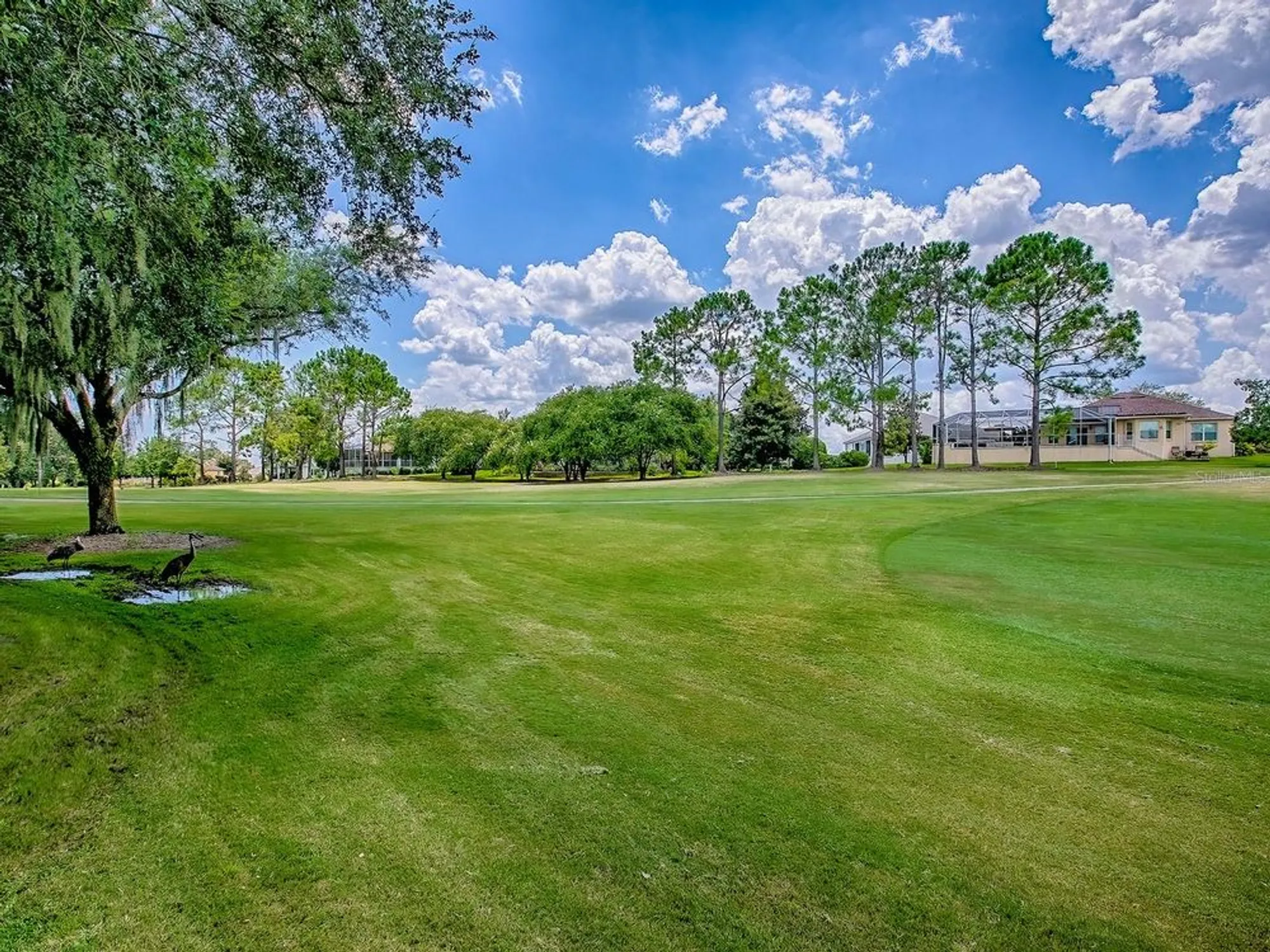 Property Slideshow image 44 of 59 | 16822 se 80th bellavista cir, The Villages, FL, 32162