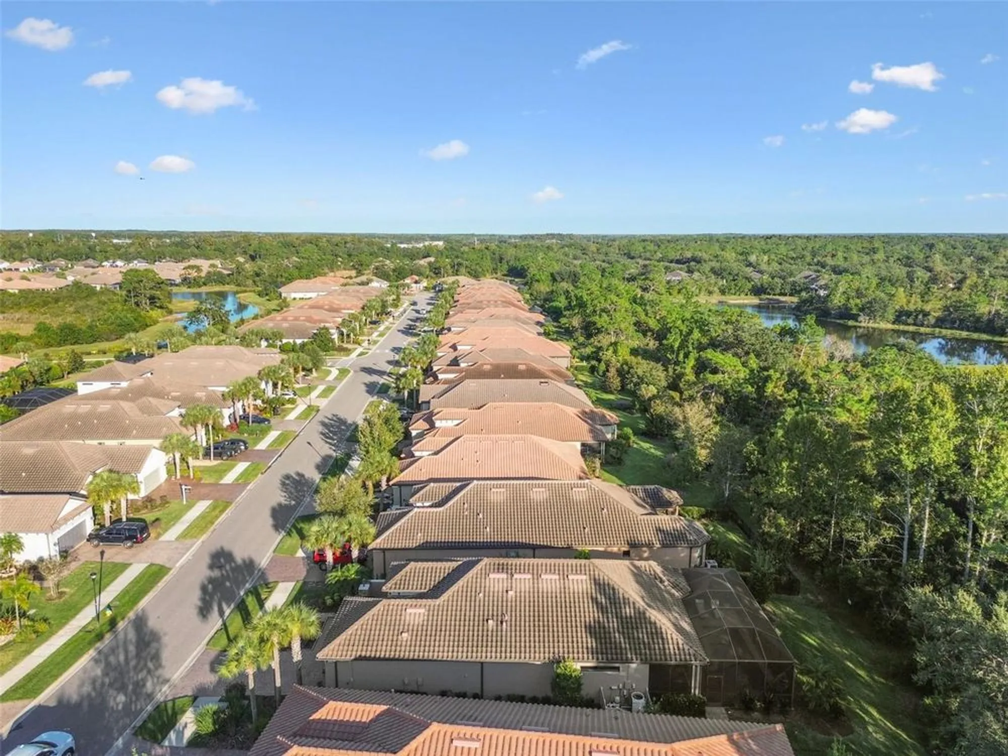 Property Slideshow image 61 of 95 | 8543 grand alberato rd, Tampa, FL, 33647