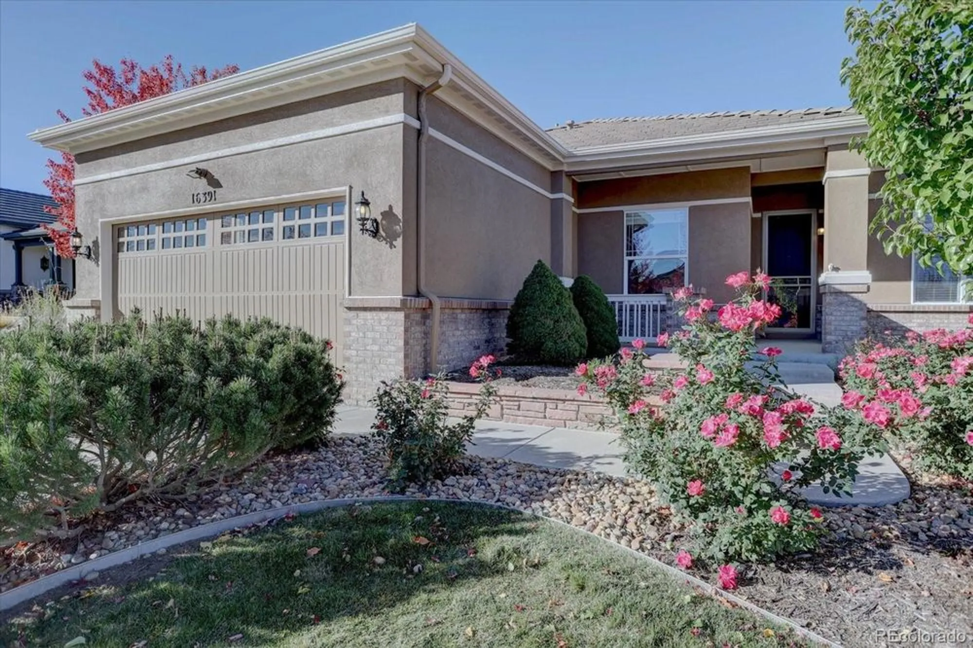 Property Slideshow image 3 of 30 | 16391 la plata way, Broomfield, CO, 80023