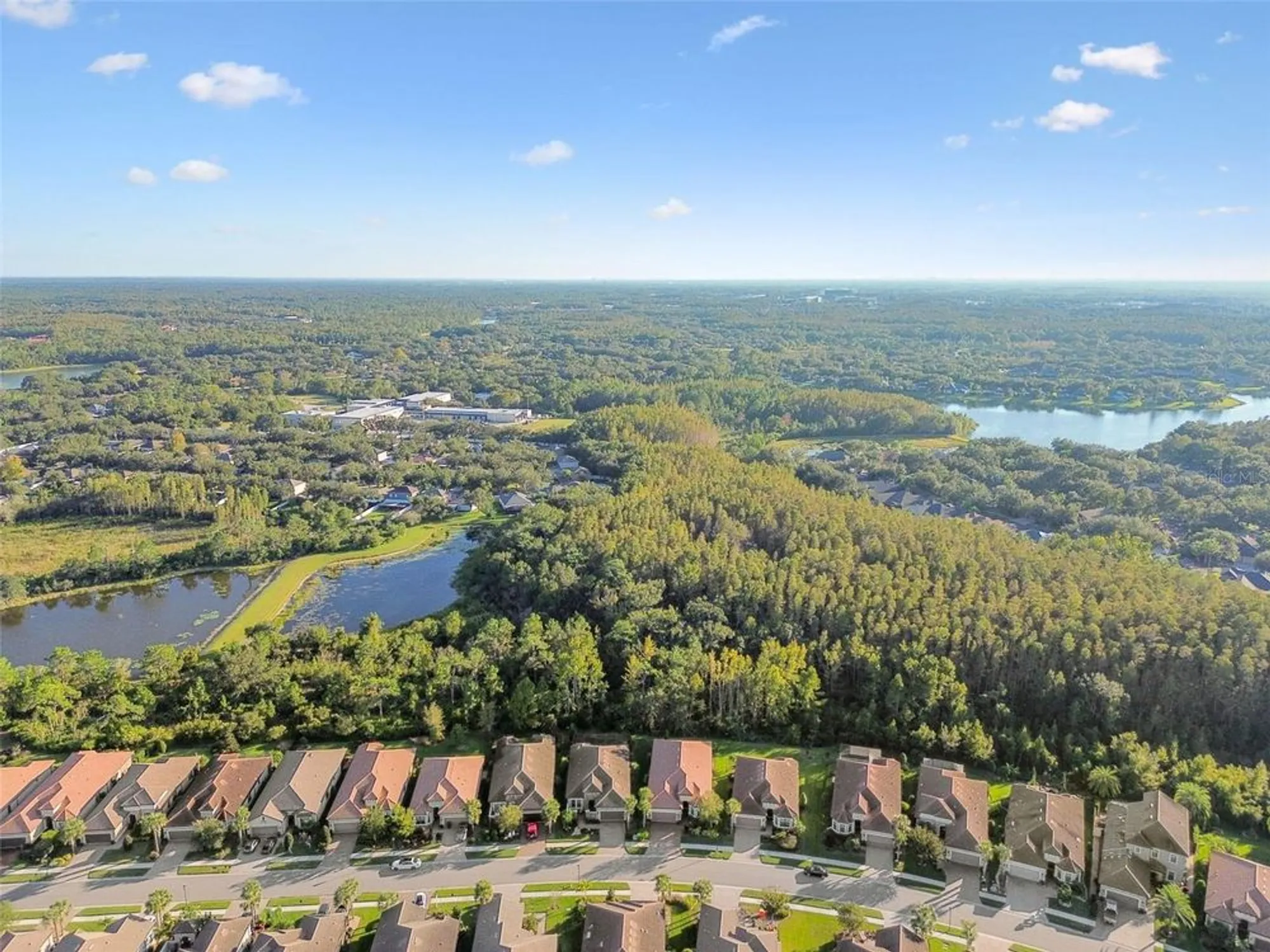 Property Slideshow image 56 of 95 | 8543 grand alberato rd, Tampa, FL, 33647