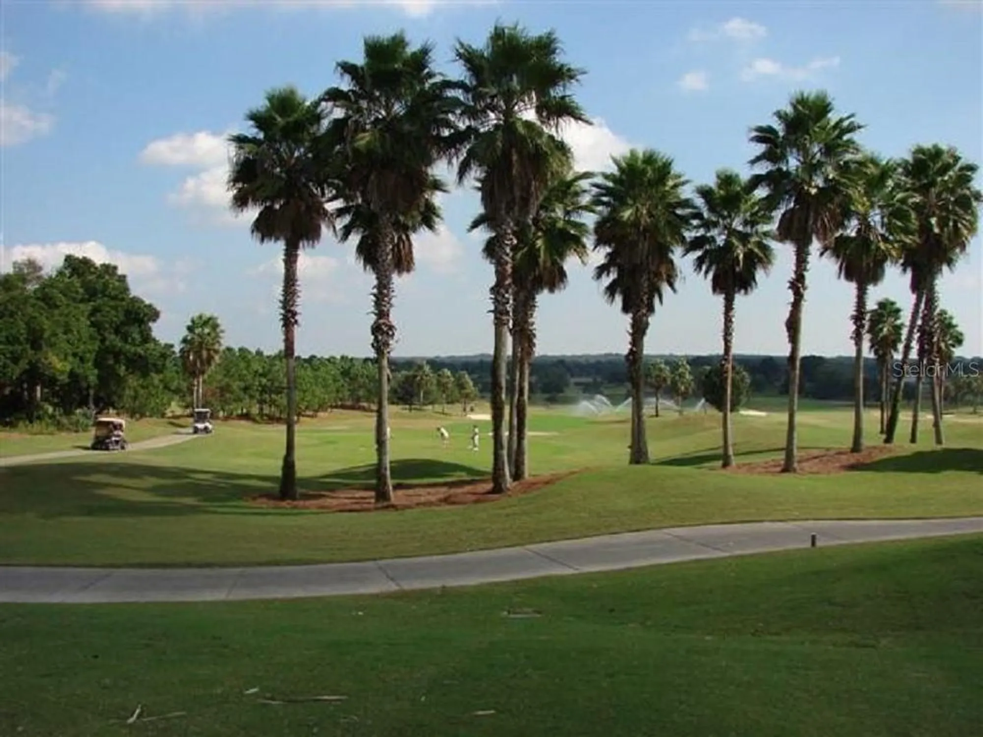 Property Slideshow image 65 of 79 | 9446 se 125th st, Summerfield, FL, 34491
