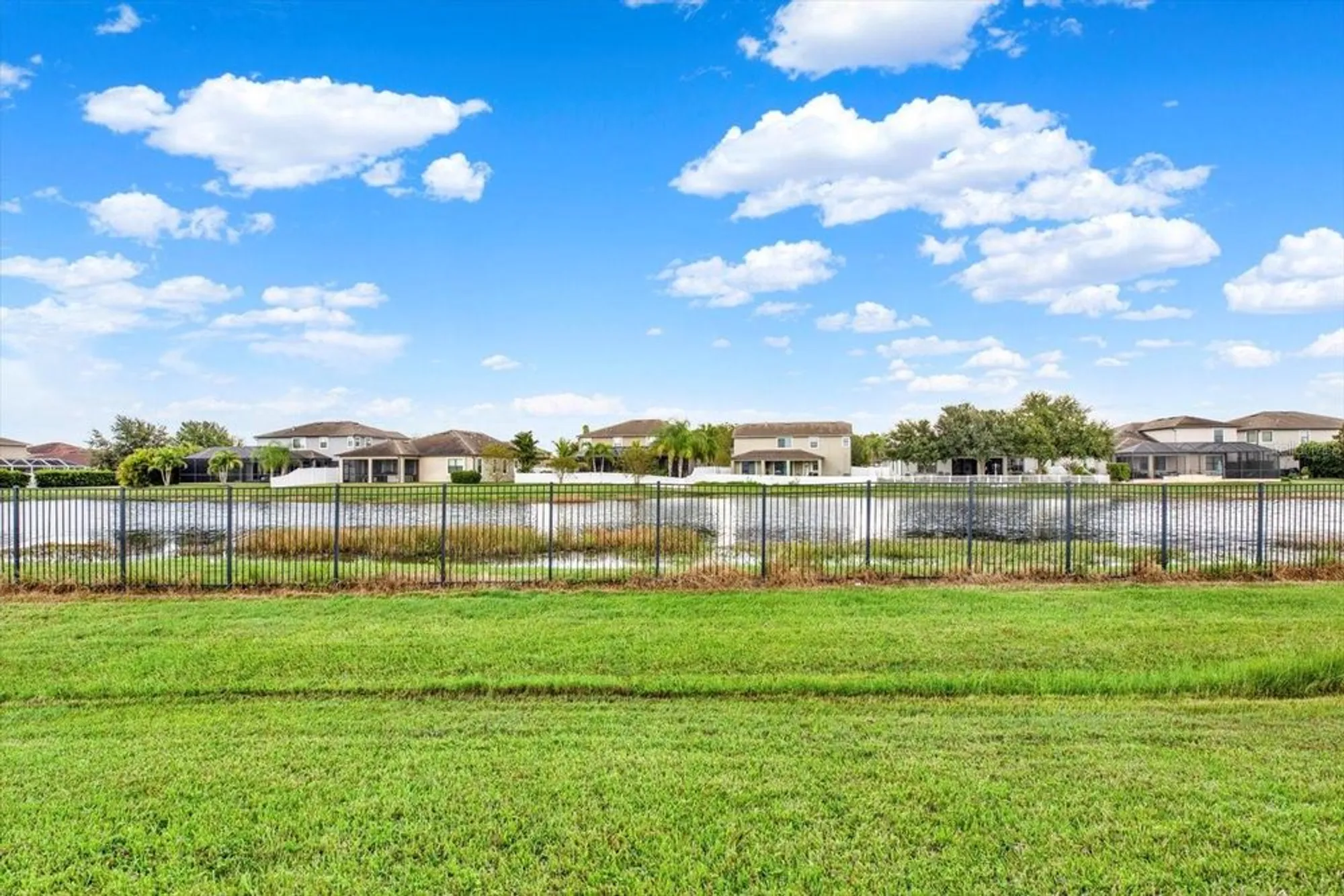 Property Slideshow image 48 of 49 | 1851 arbor knoll loop, Trinity, FL, 34655