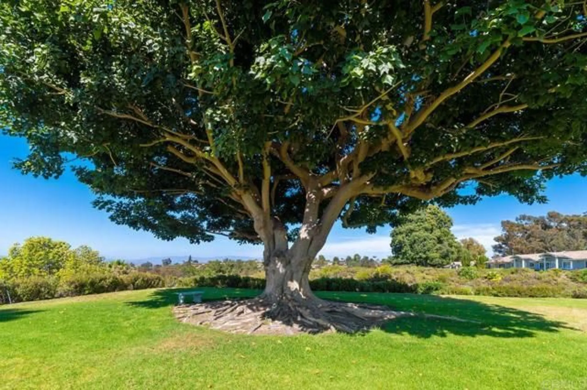 Property Slideshow image 30 of 37 | 4369 dowitcher way, Oceanside, CA, 92057