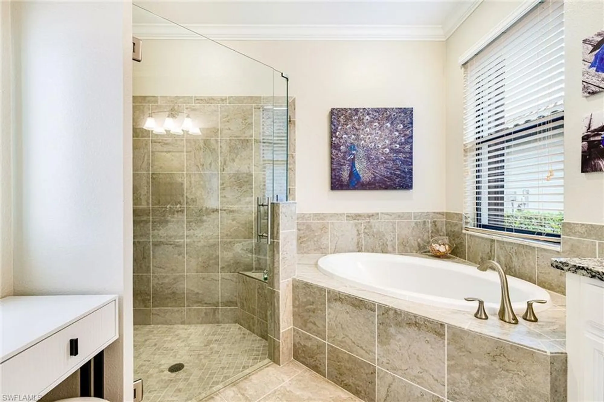 Property Slideshow image 29 of 49 | 19197 elston way, Estero, FL, 33928