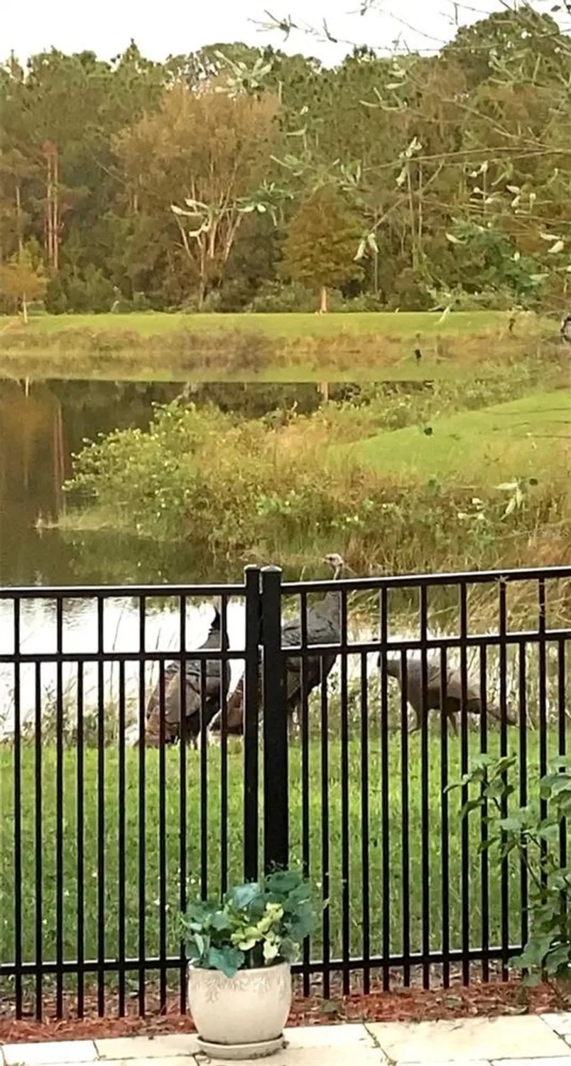 Property Slideshow image 32 of 51 | 3426 sagebrush st, Harmony, FL, 34773