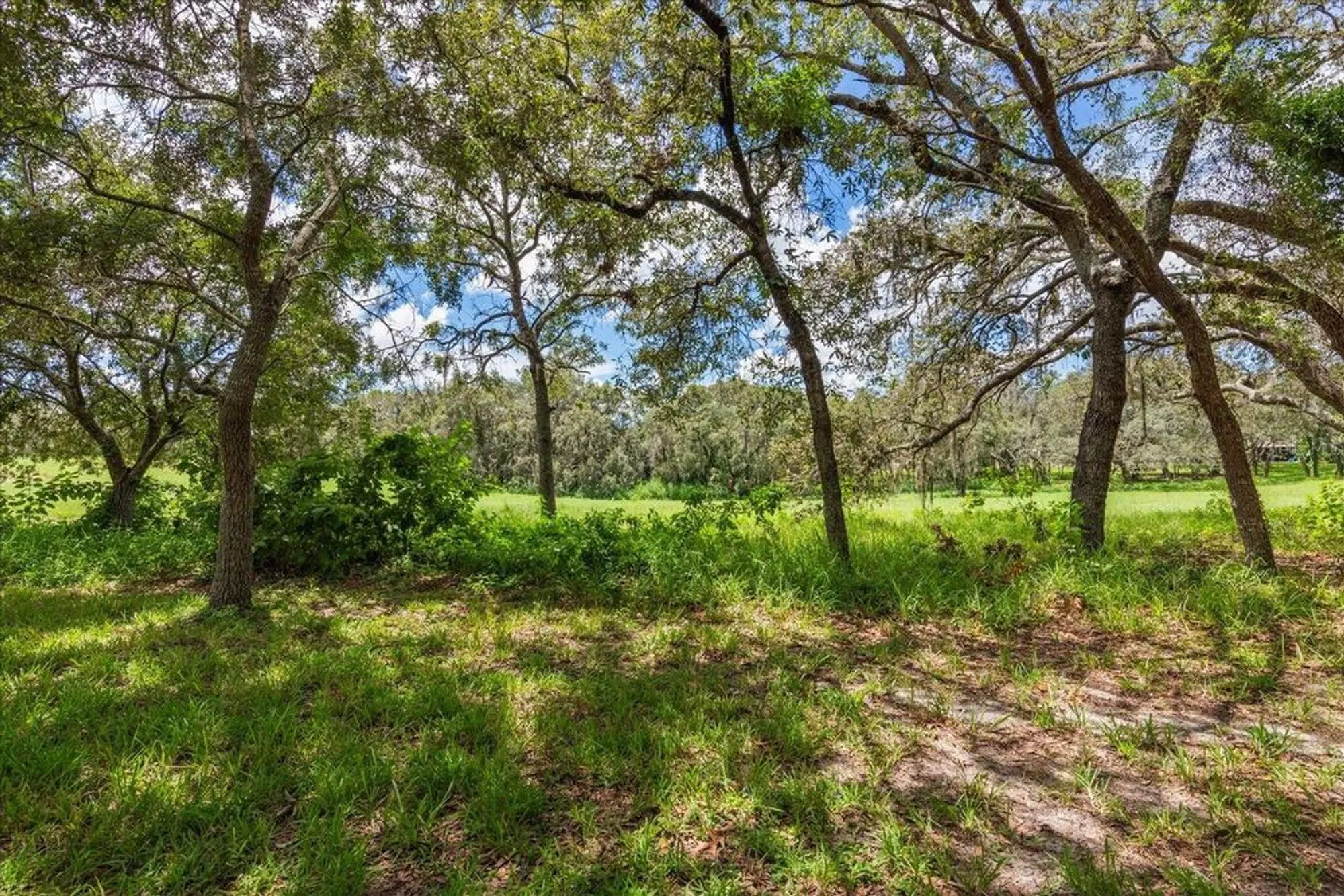 Property Slideshow image 27 of 28 | 371 quane ave, Spring Hill, FL, 34609