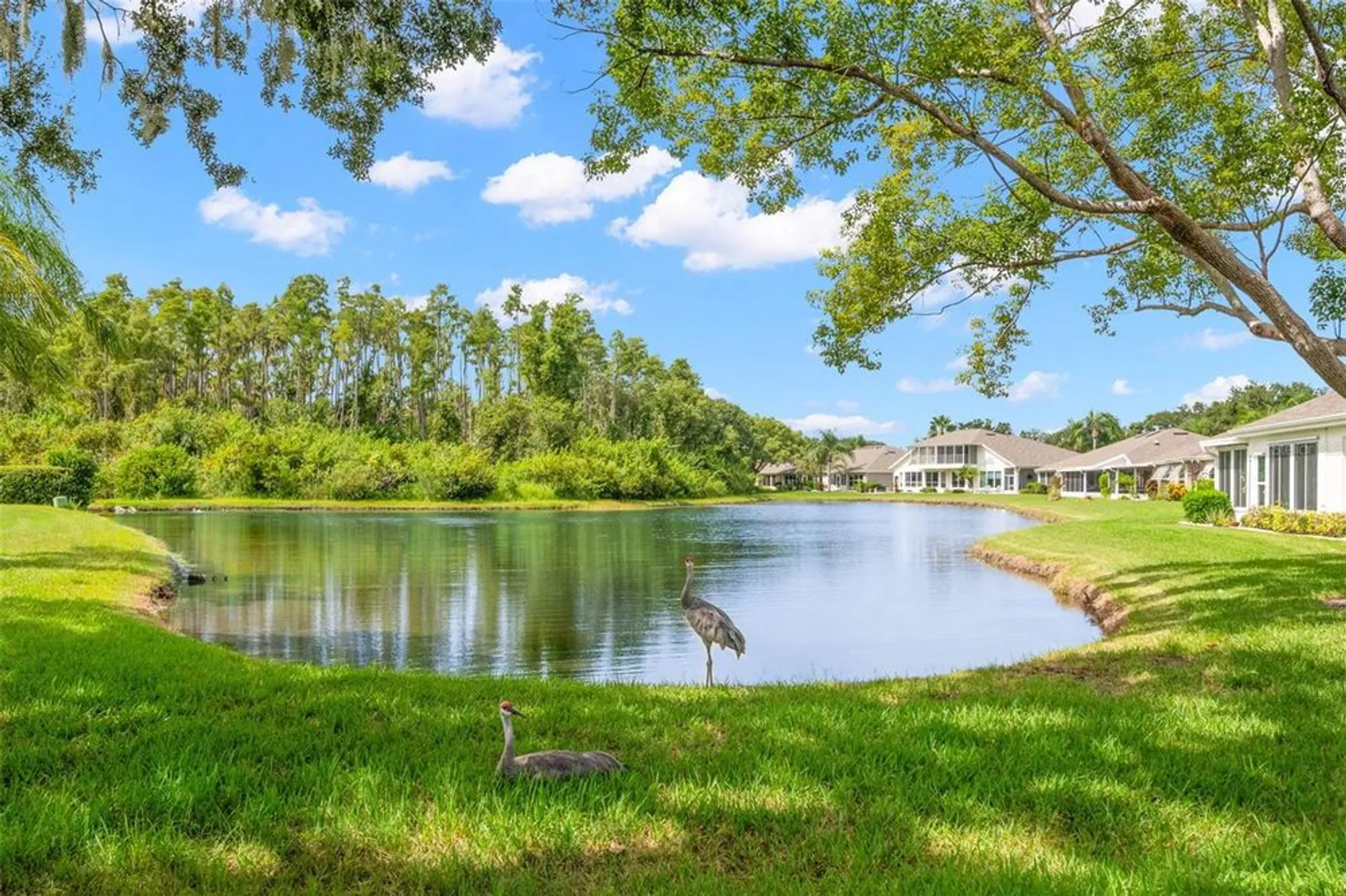 Property Slideshow image 24 of 61 | 713 manchester woods dr, Sun City Center, FL, 33573