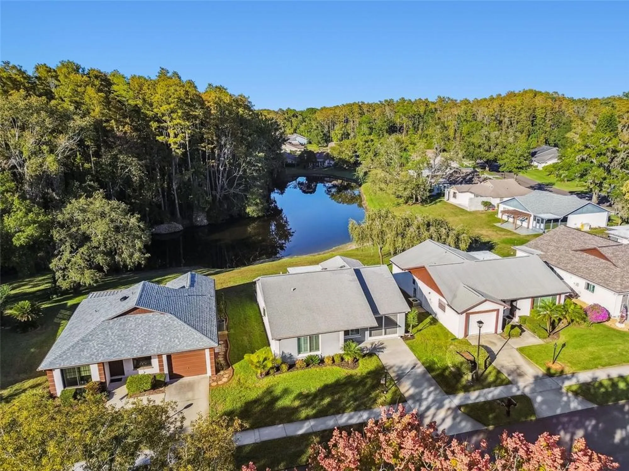 Property Slideshow image 26 of 49 | 11539 scotch pine dr, New Port Richey, FL, 34654